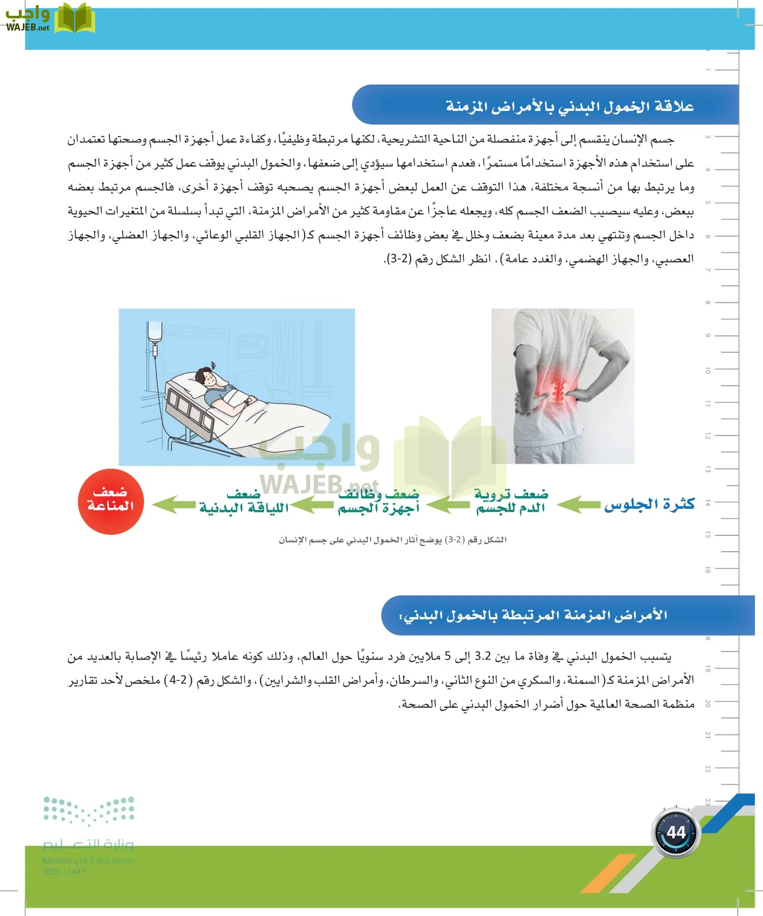 اللياقة والثقافة الصحية page-43