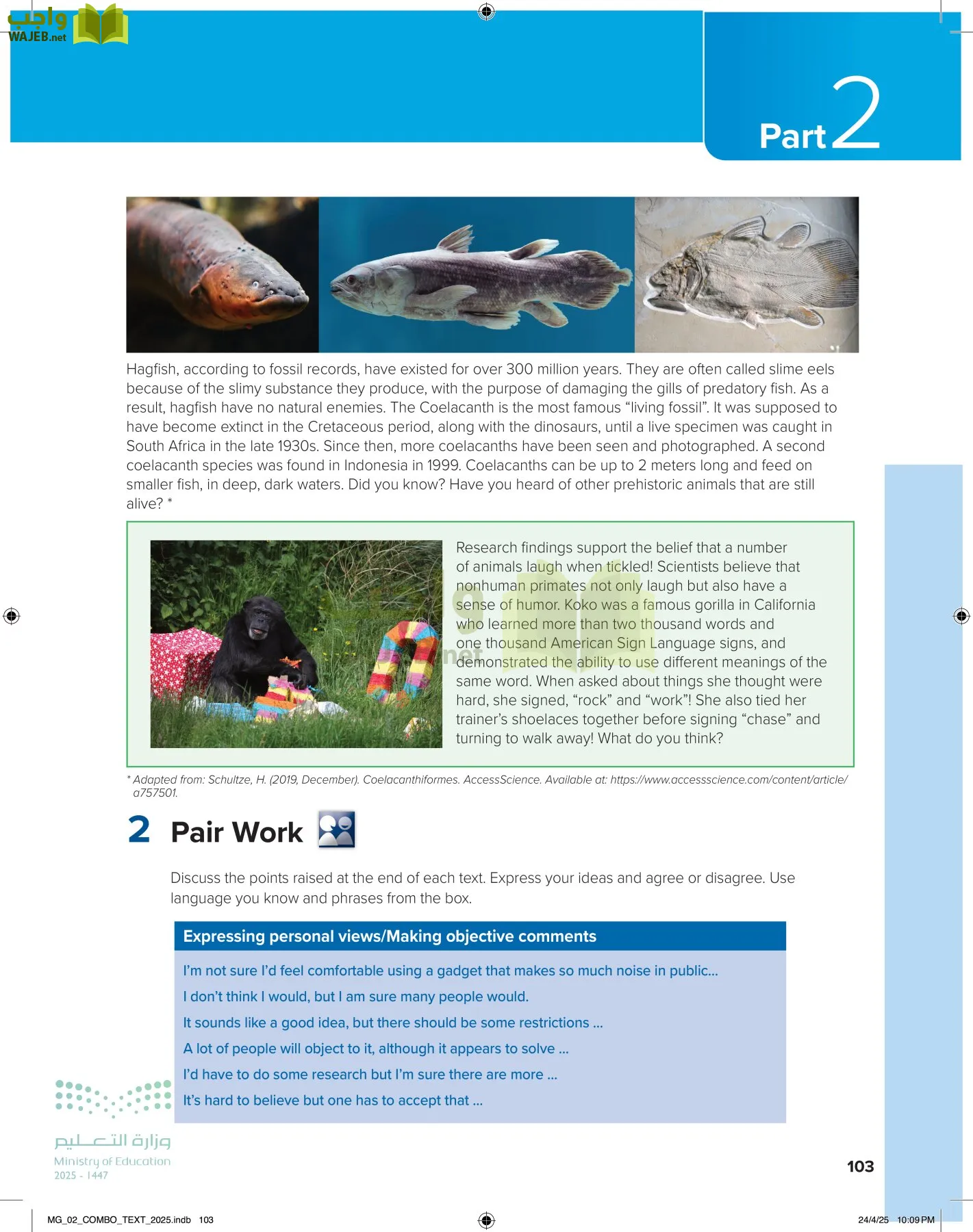 mega goal 2 page-108