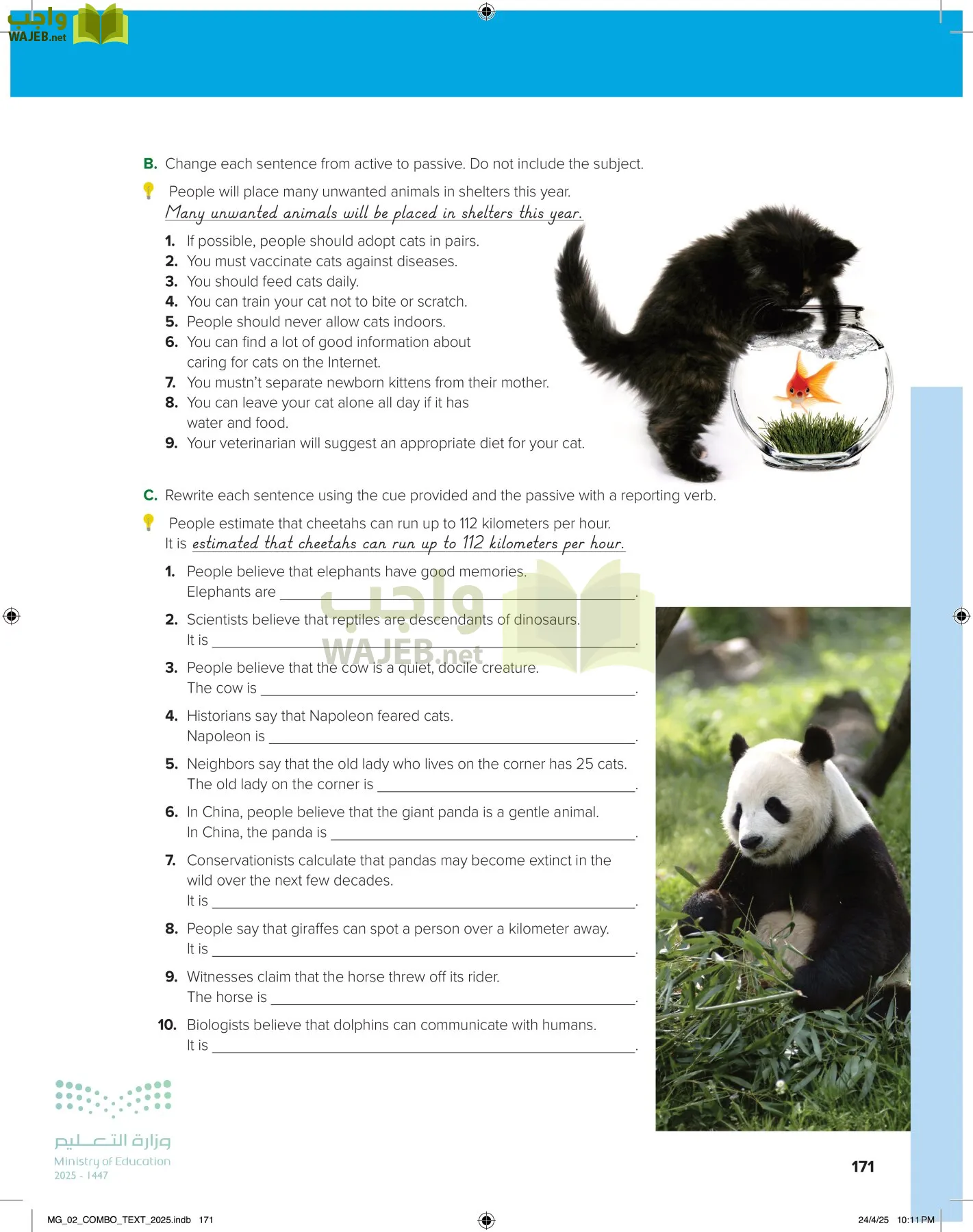 mega goal 2 page-176