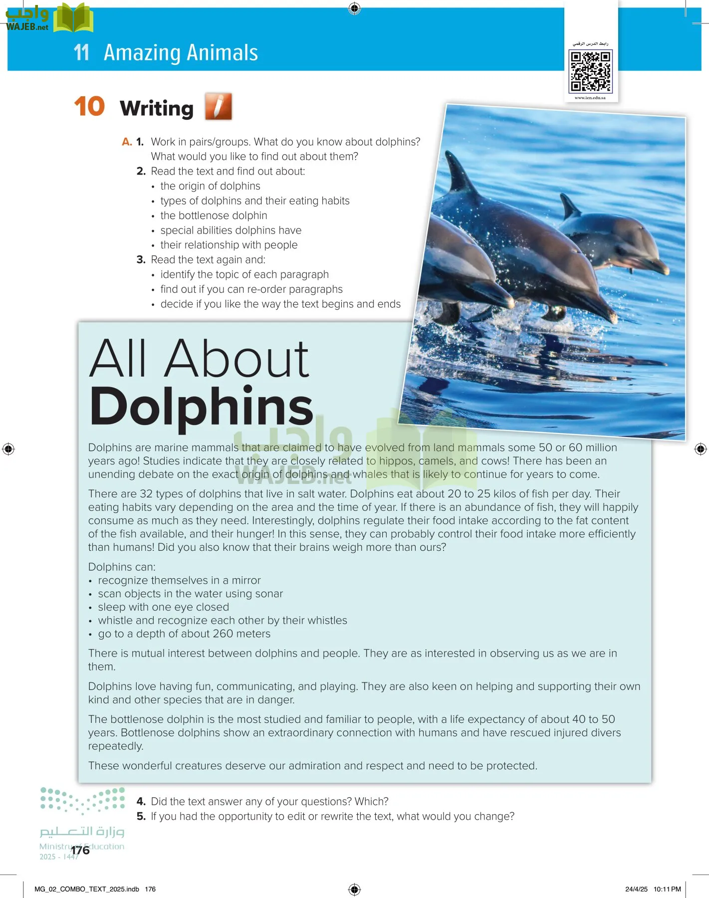 mega goal 2 page-181