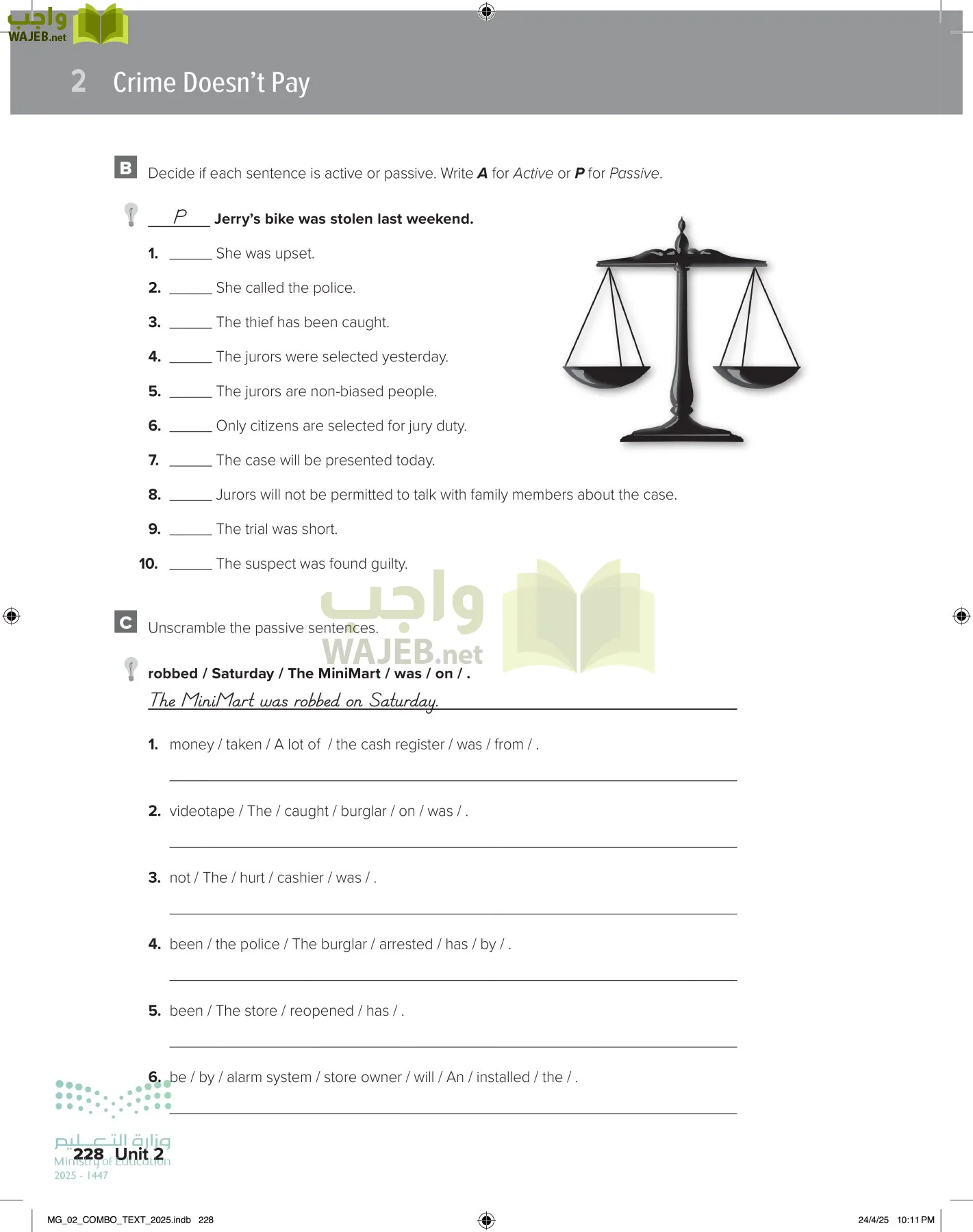 mega goal 2 page-233