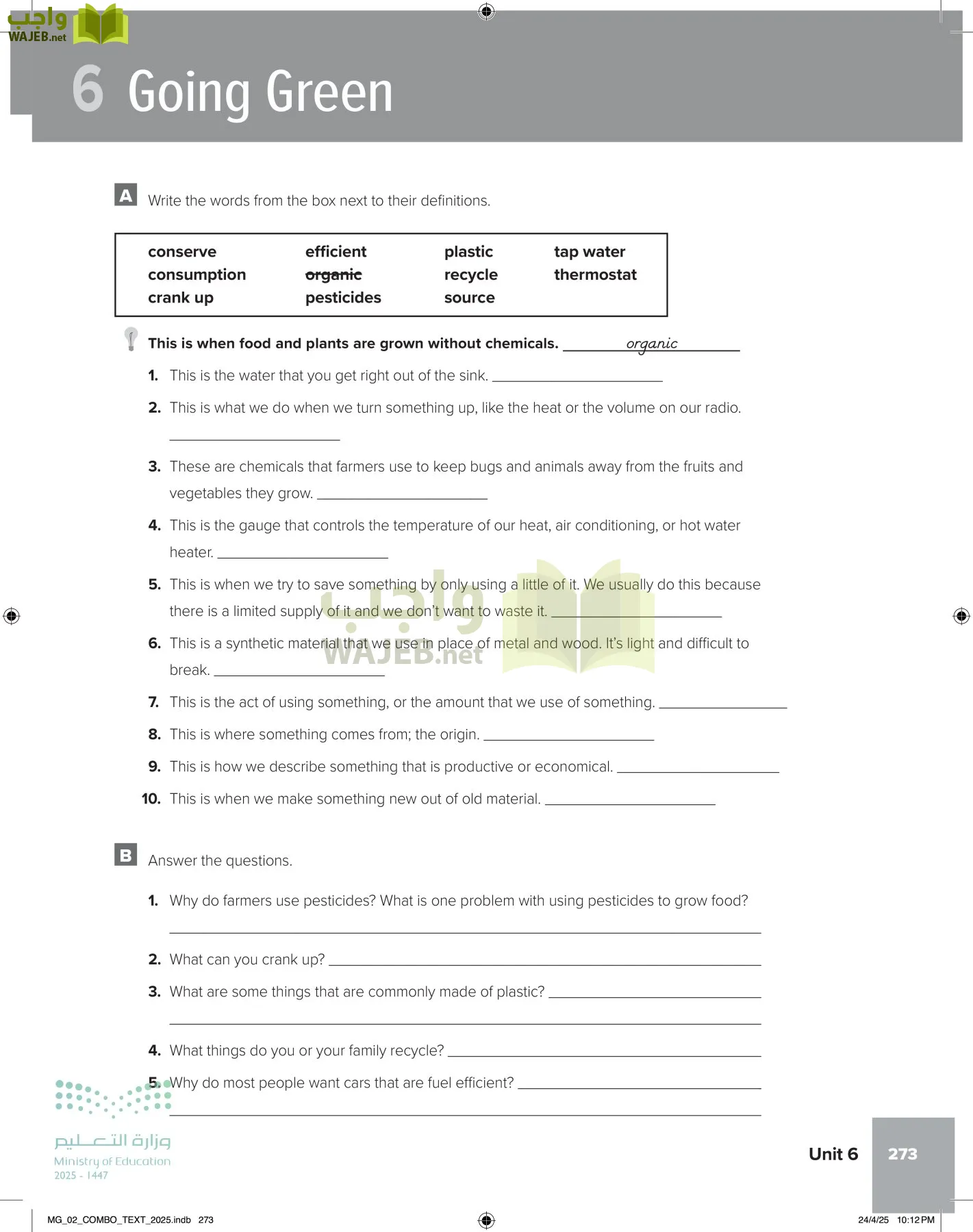 mega goal 2 page-278