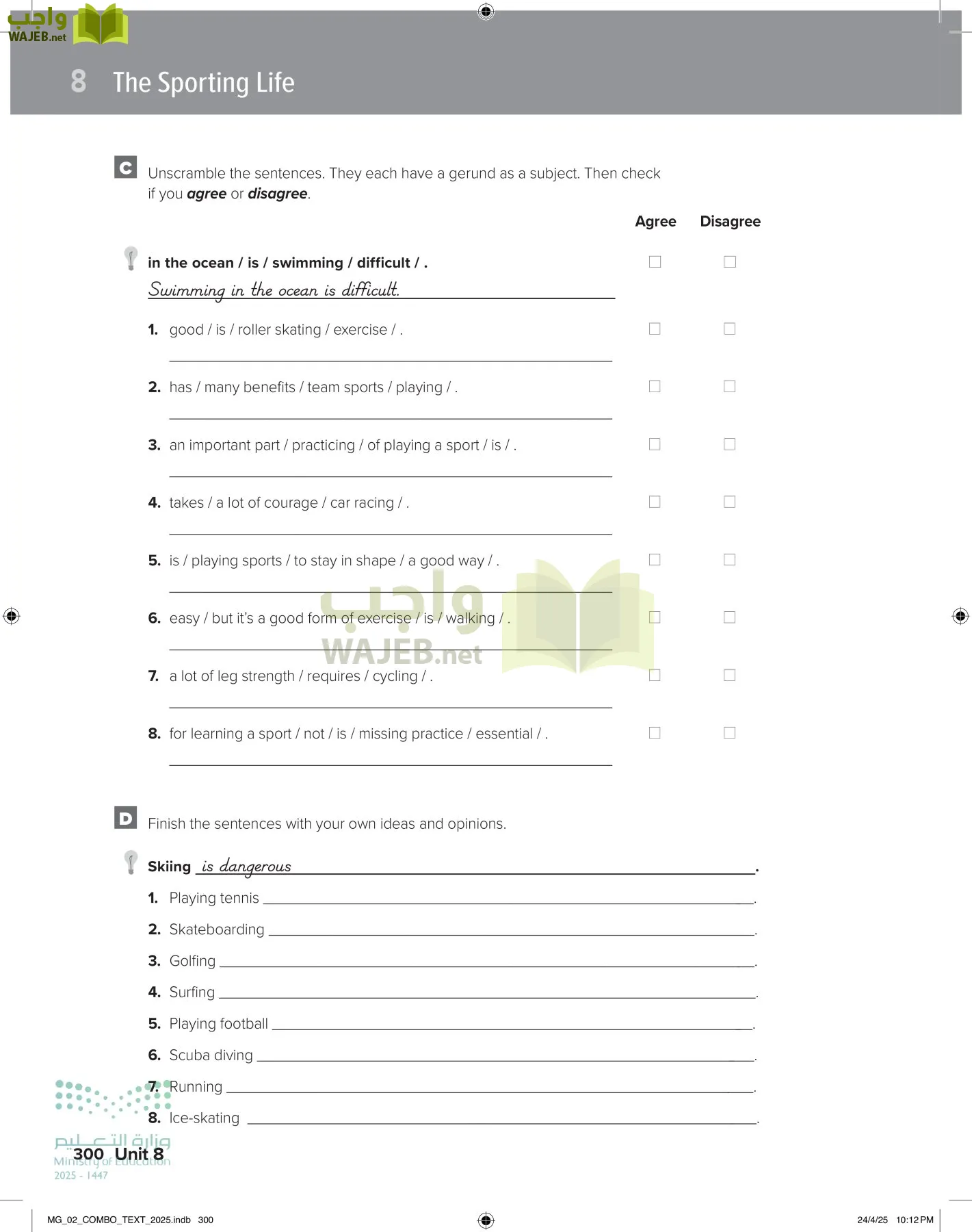 mega goal 2 page-305