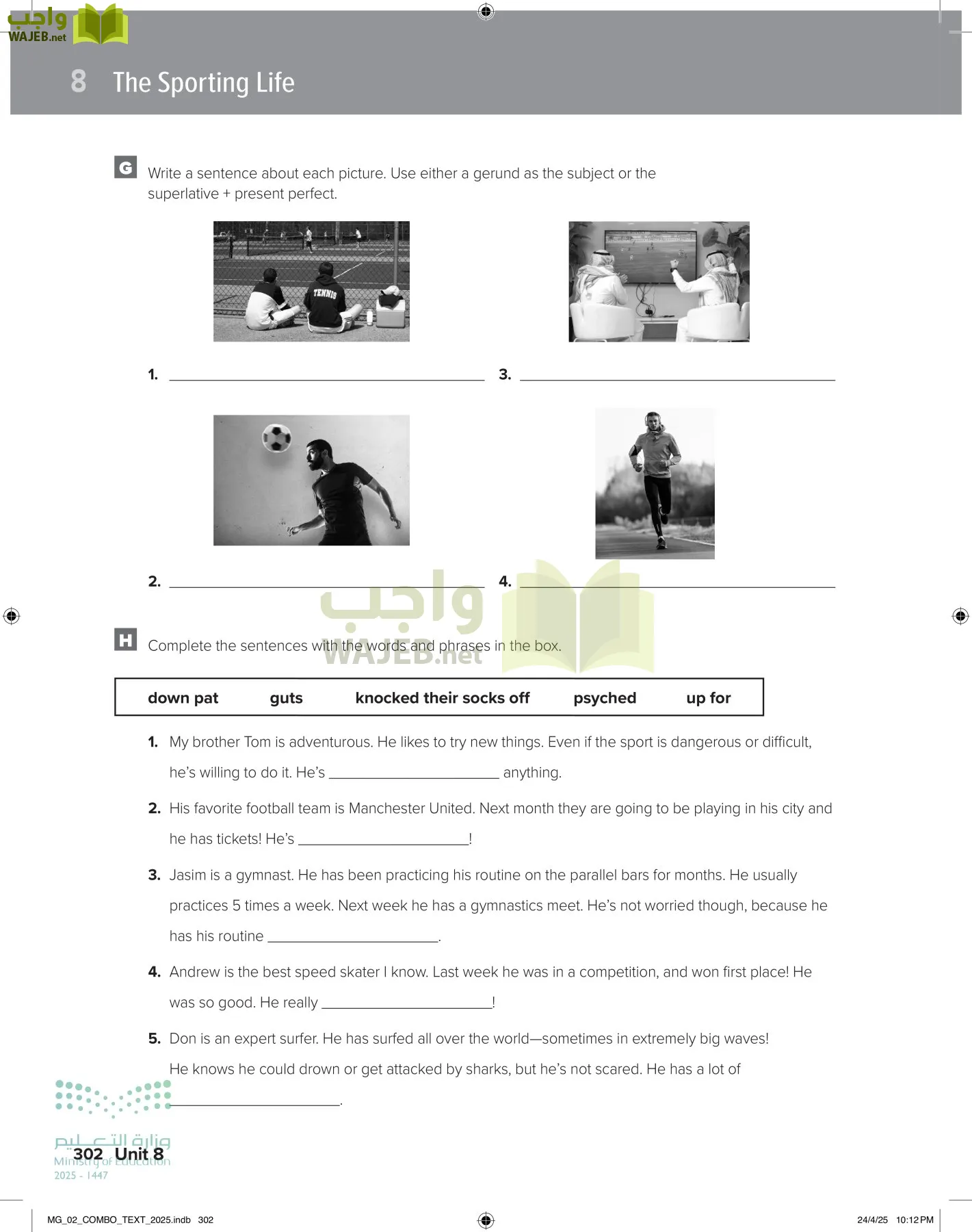 mega goal 2 page-307