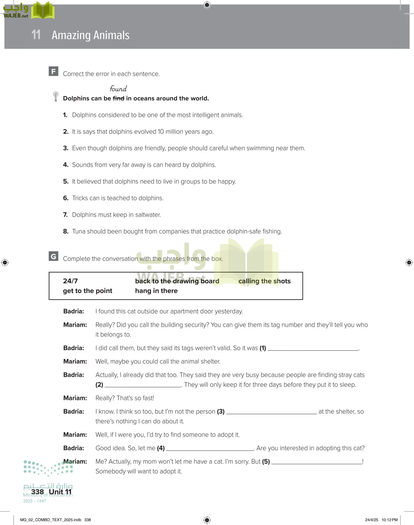 mega goal 2 page-343