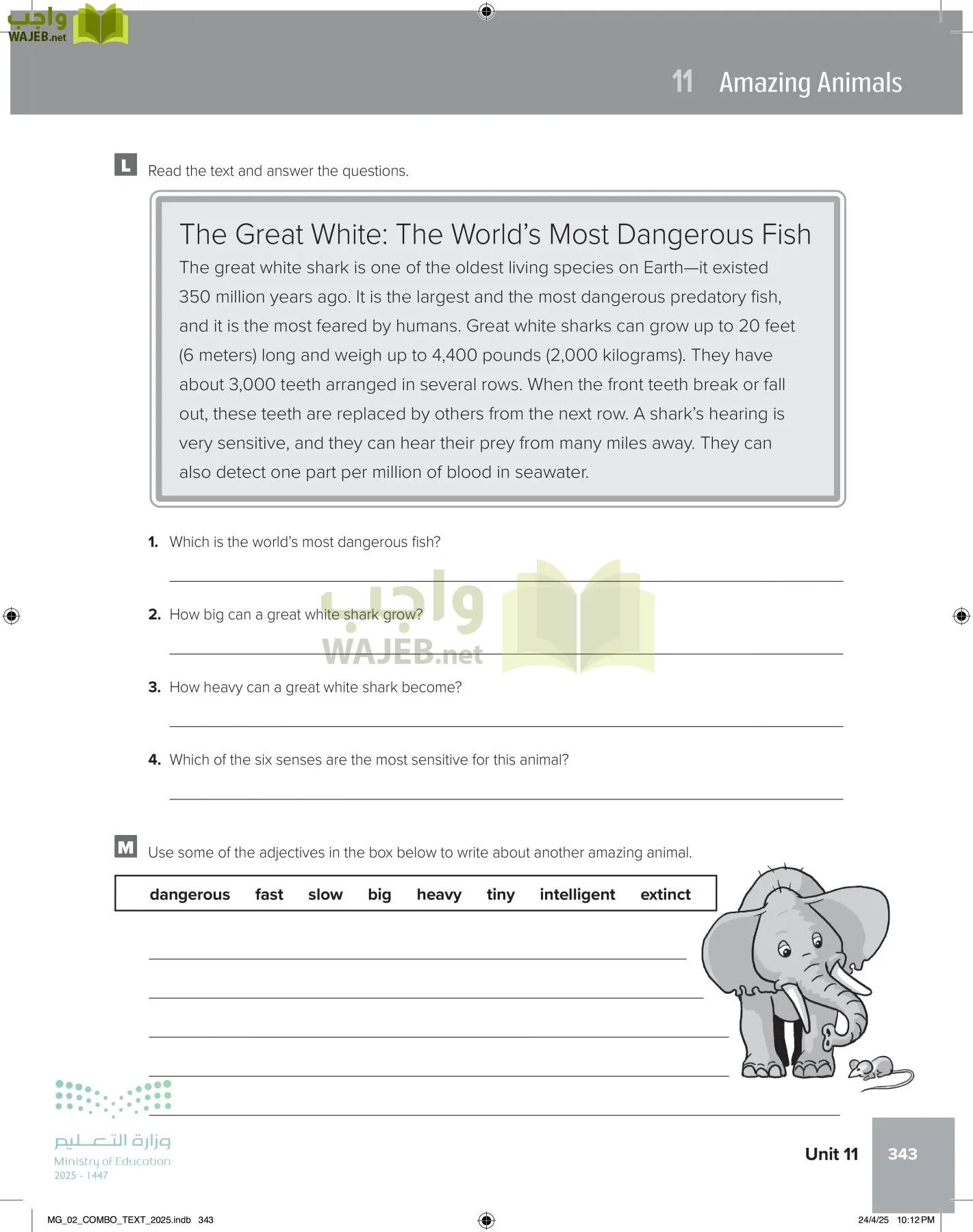 mega goal 2 page-348