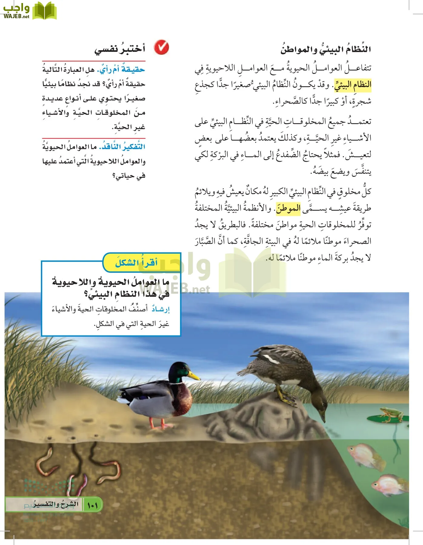 العلوم page-100