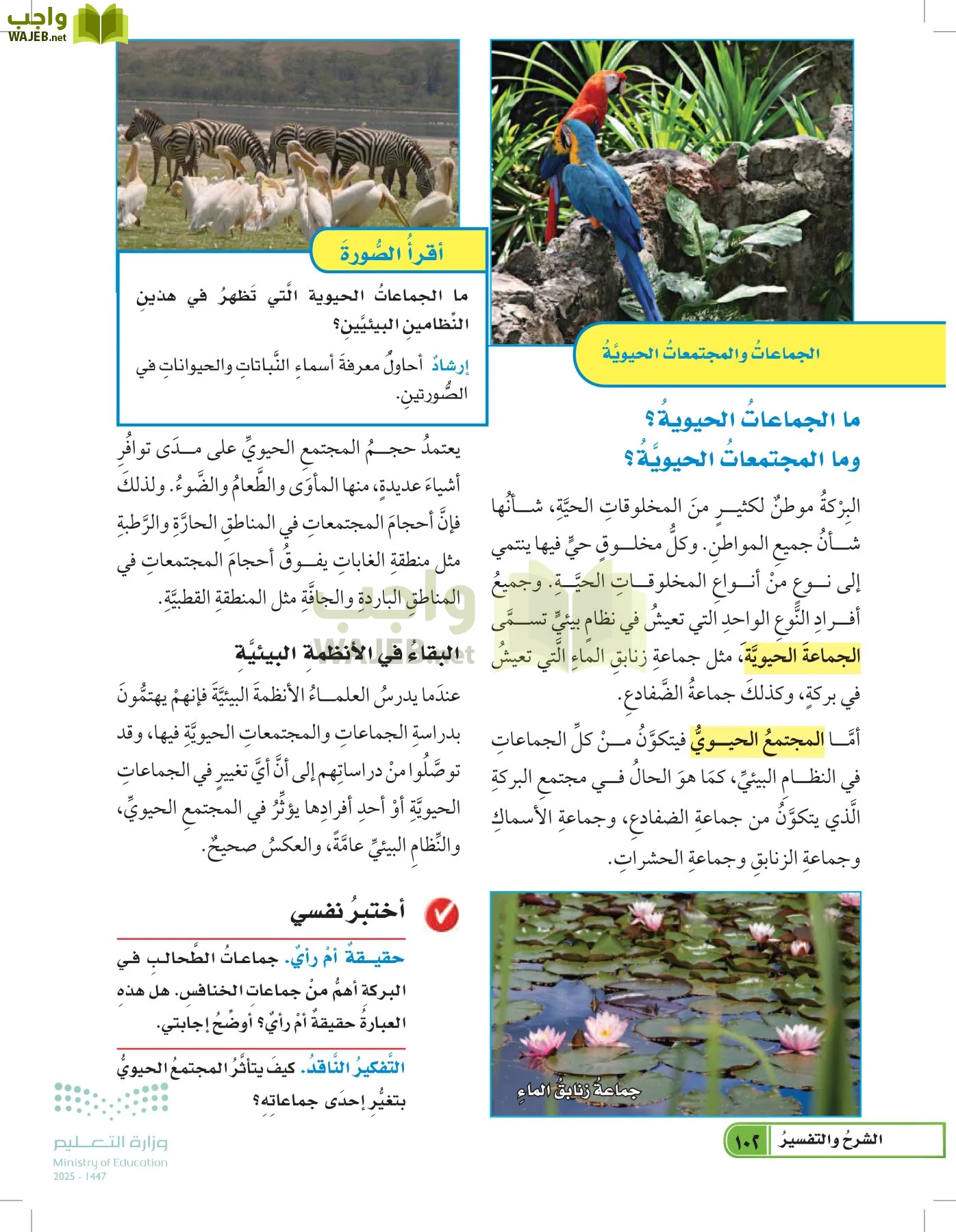 العلوم page-101