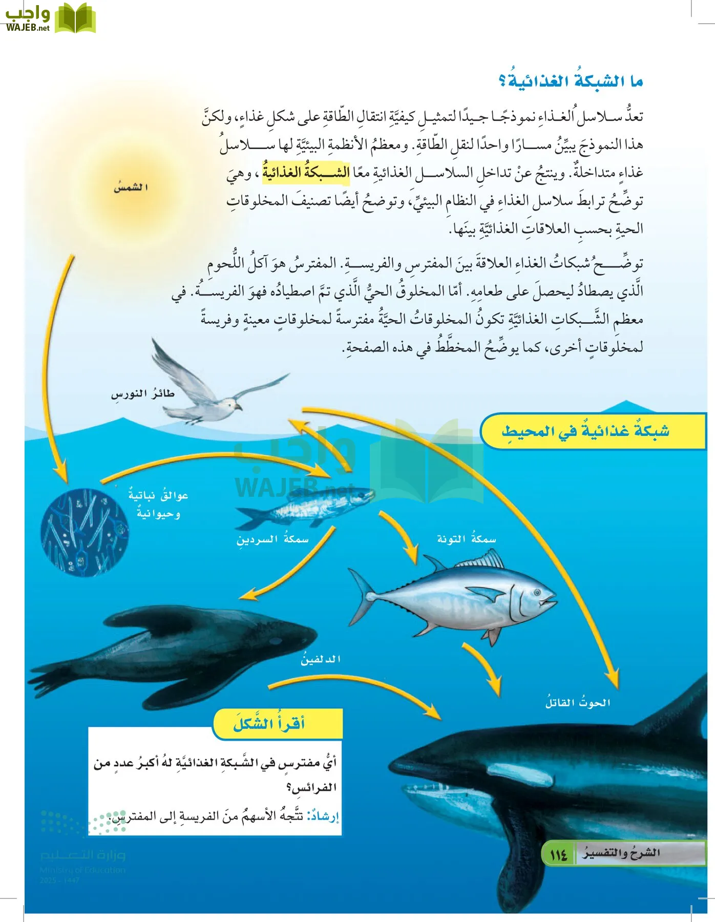 العلوم page-113