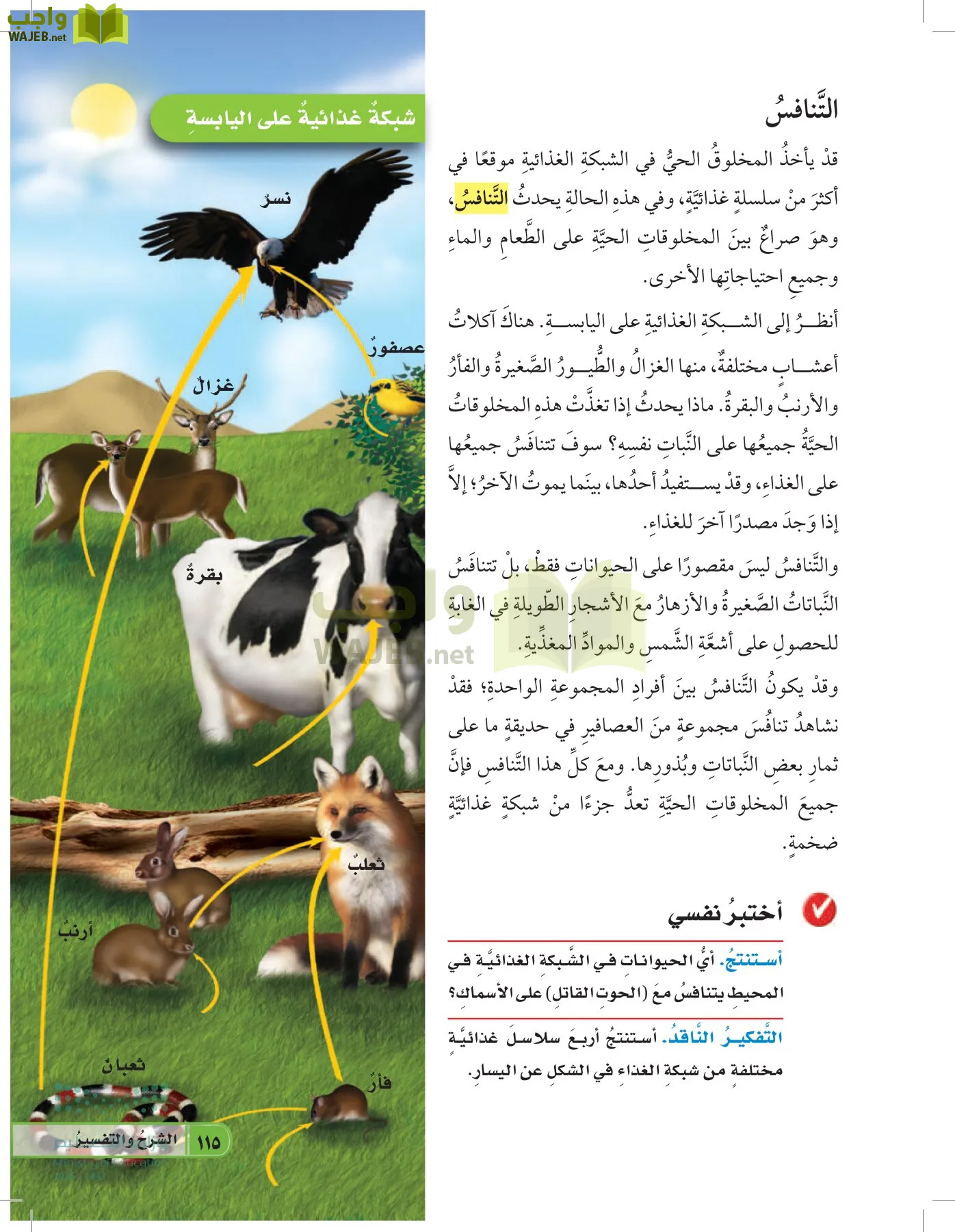 العلوم page-114