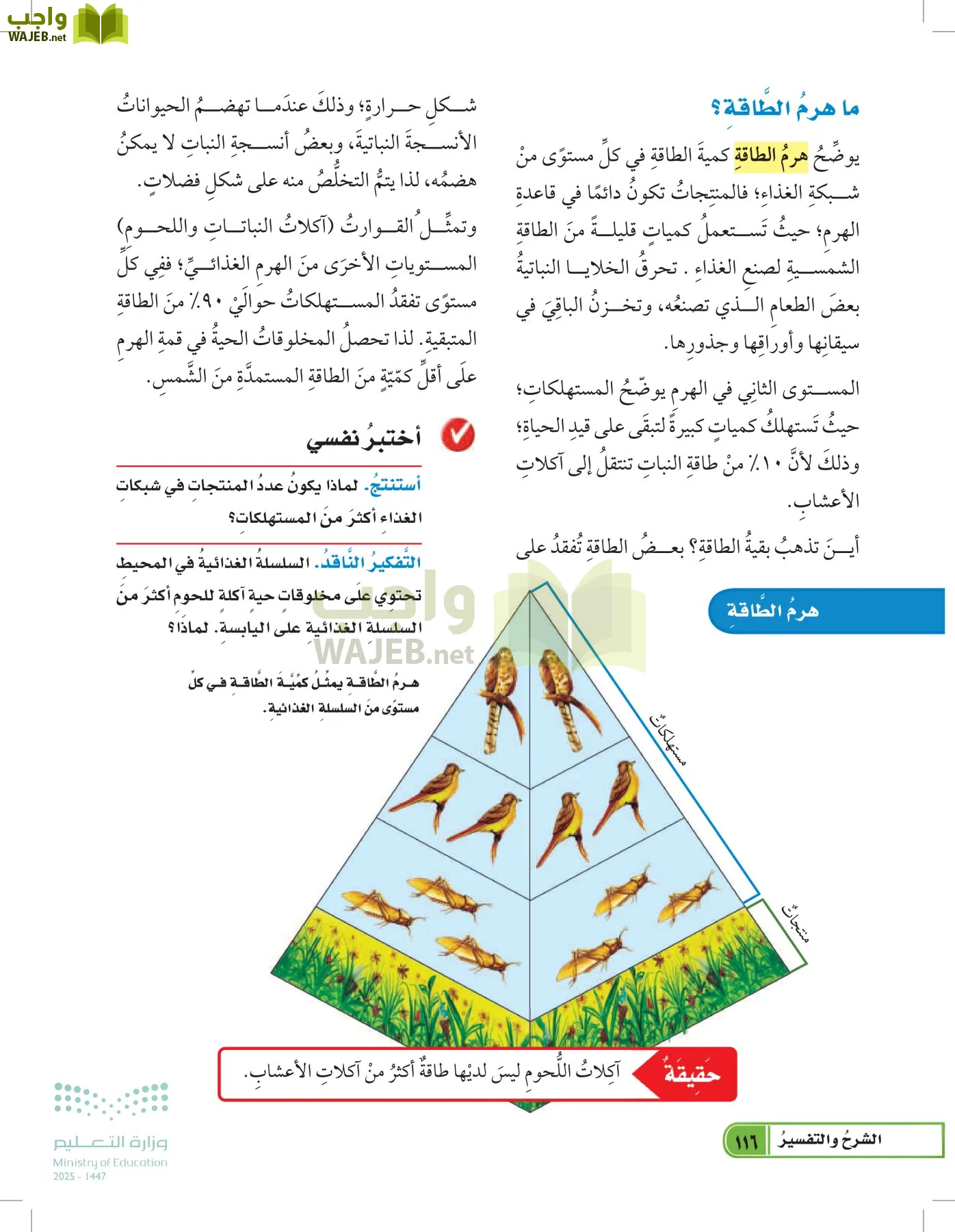 العلوم page-115