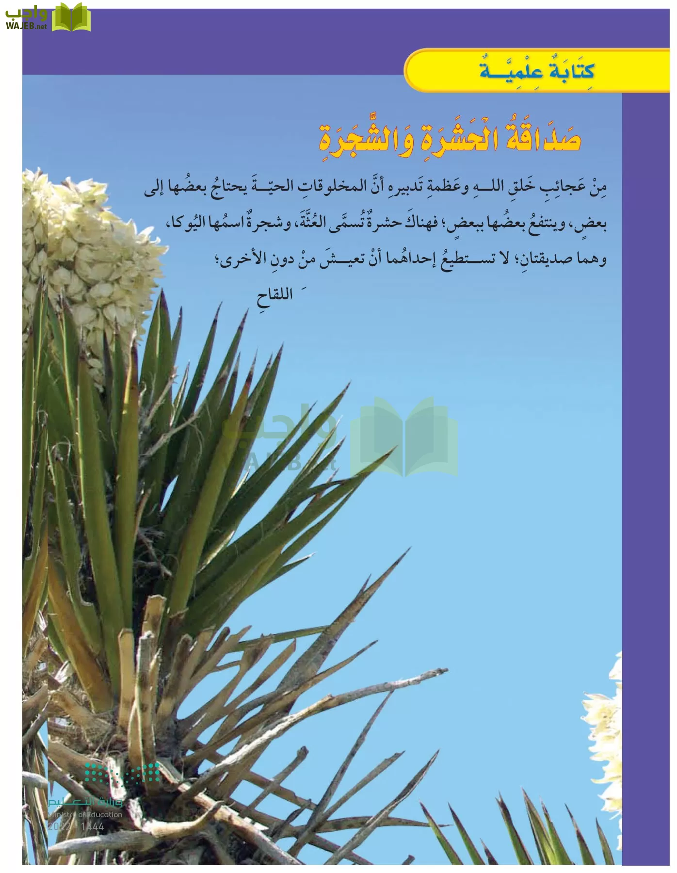 العلوم page-117