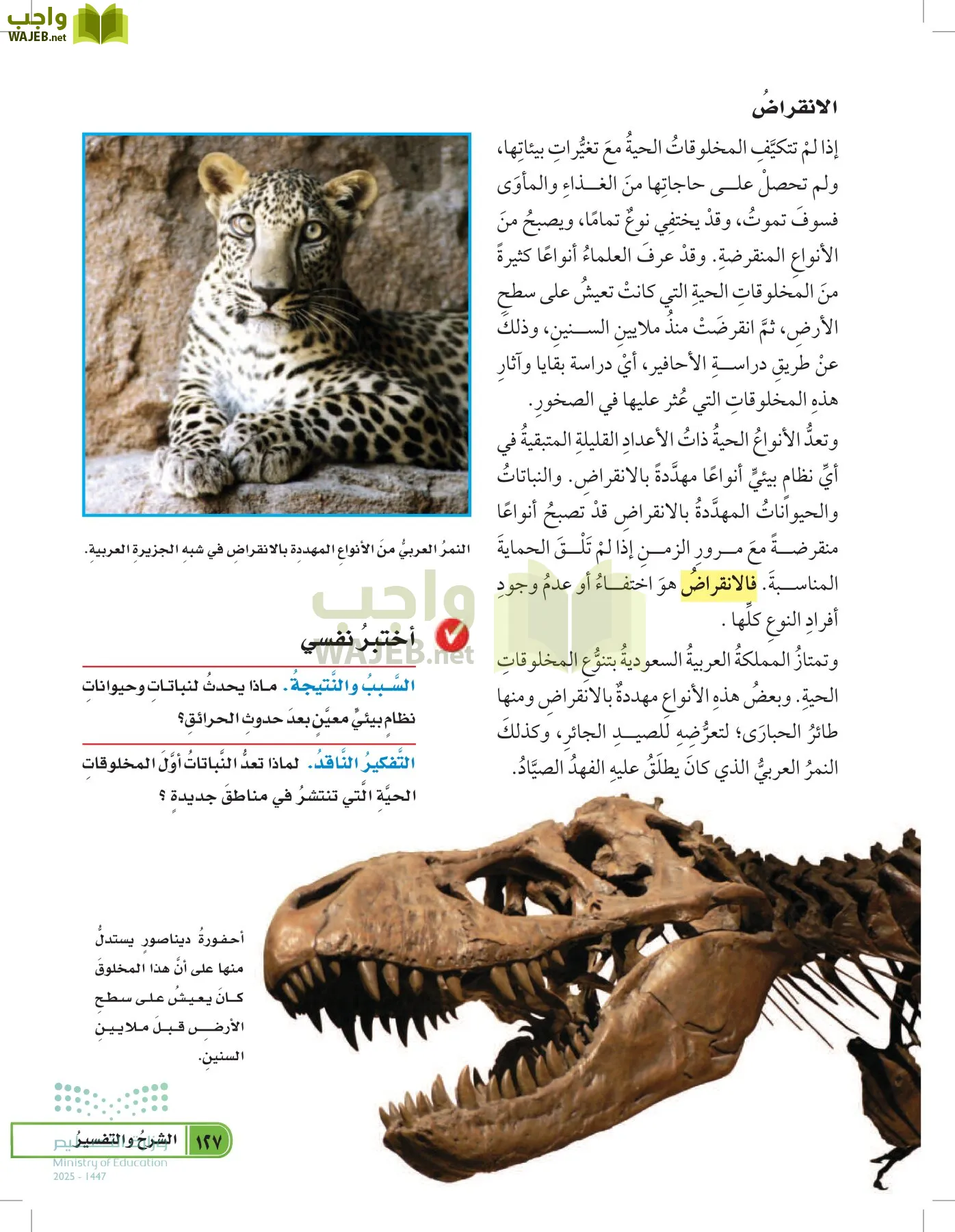 العلوم page-126