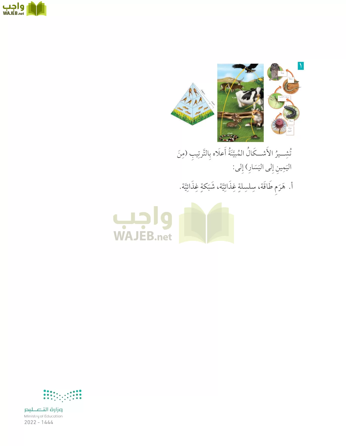 العلوم page-134