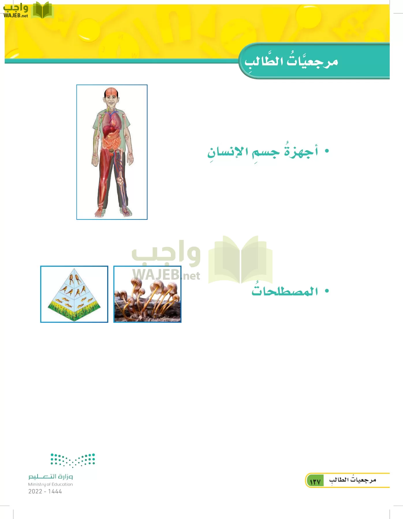 العلوم page-136