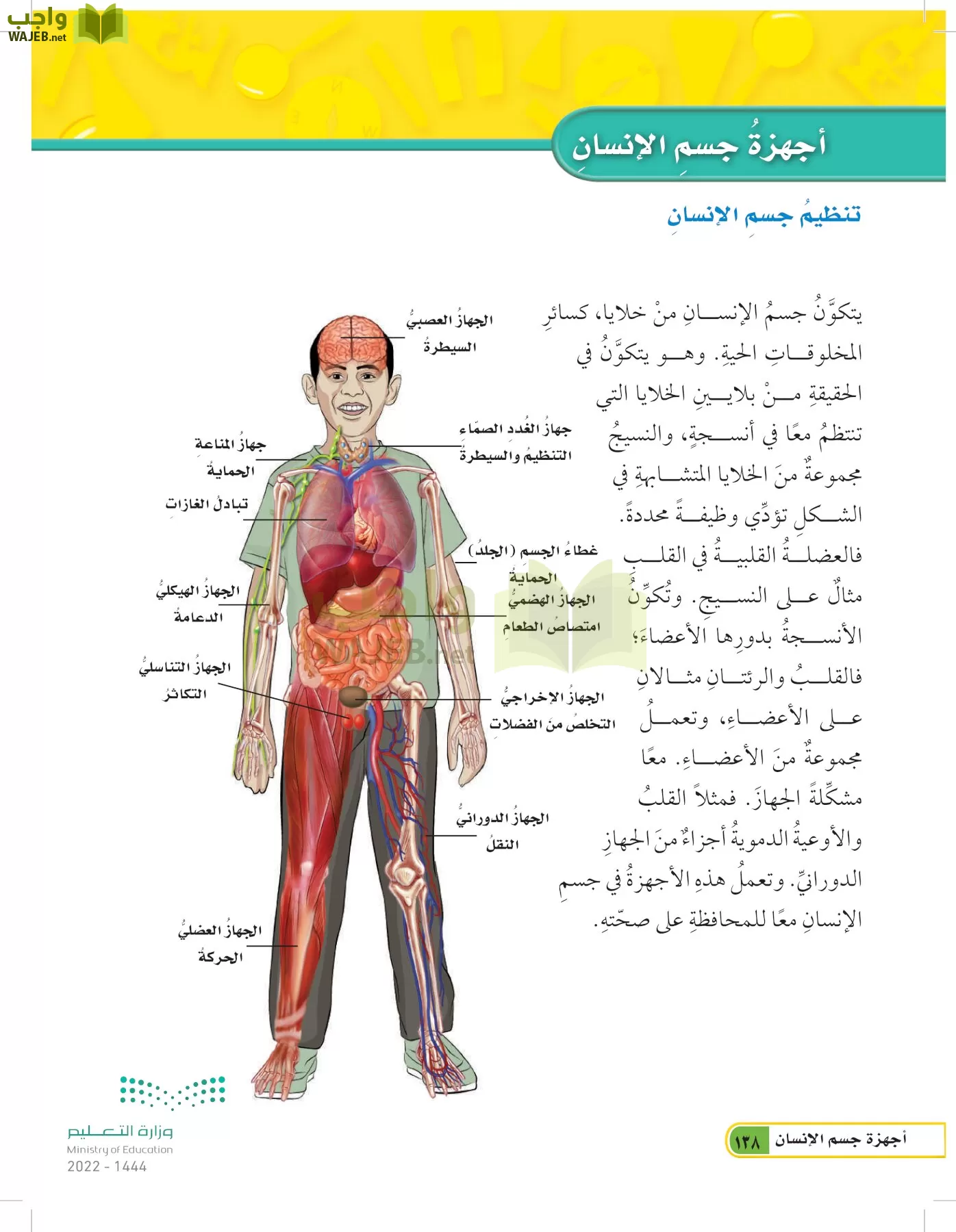 العلوم page-137