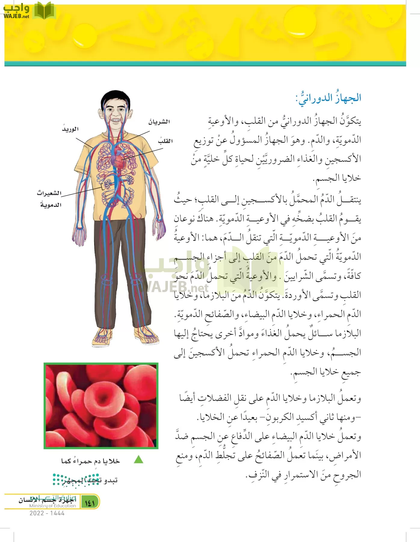 العلوم page-140