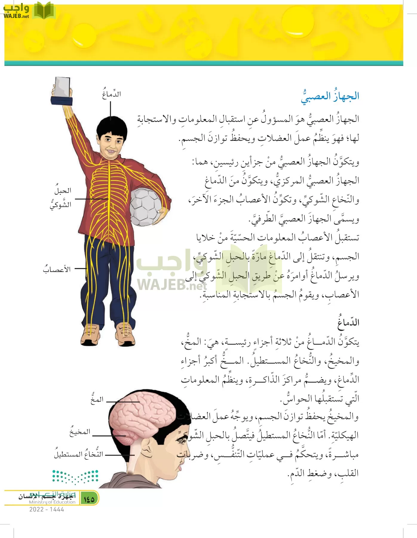 العلوم page-144