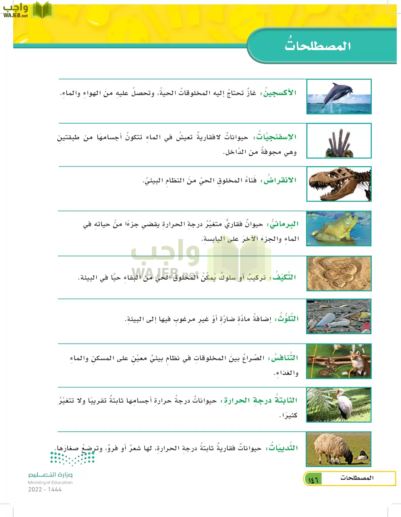 العلوم page-145