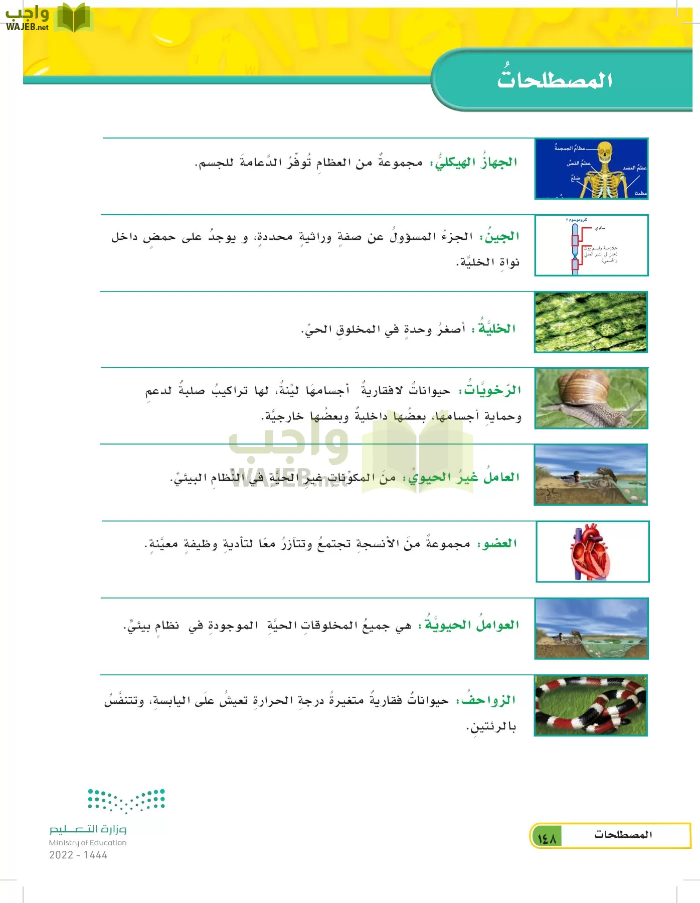 العلوم page-147