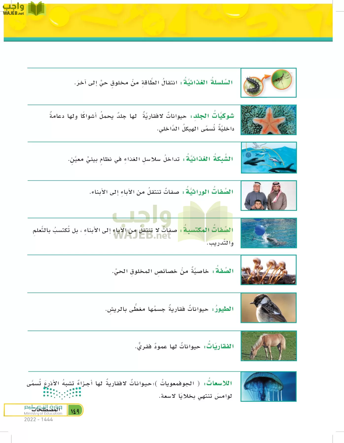 العلوم page-148
