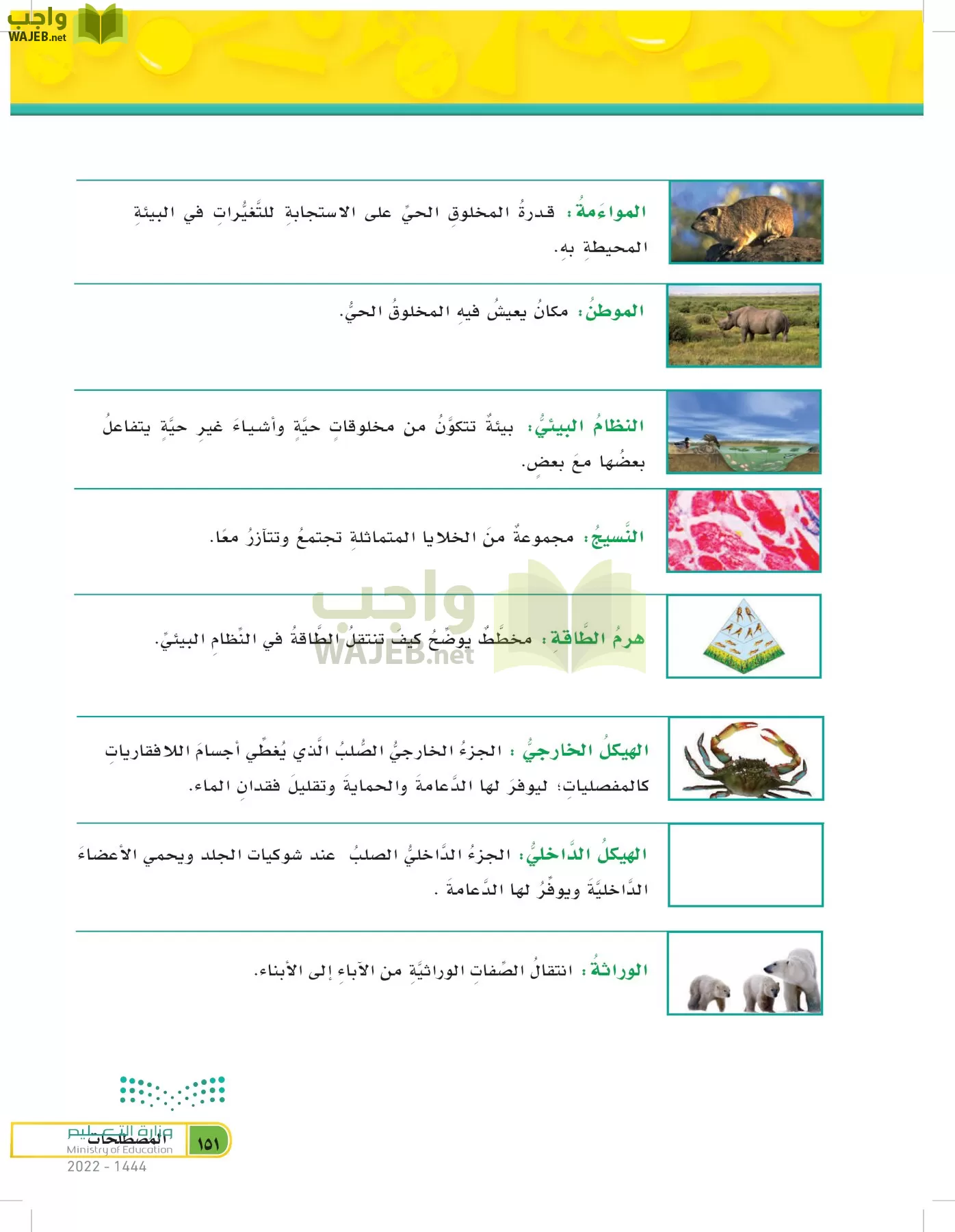 العلوم page-150