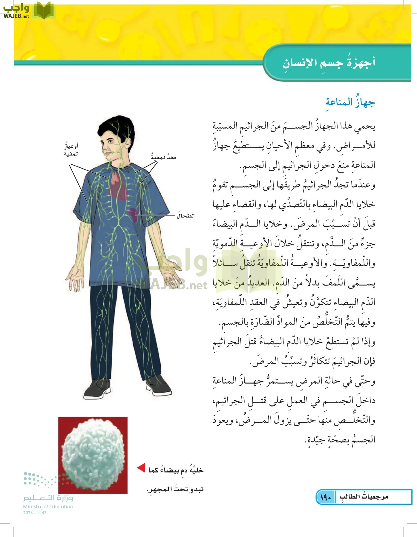 العلوم page-189