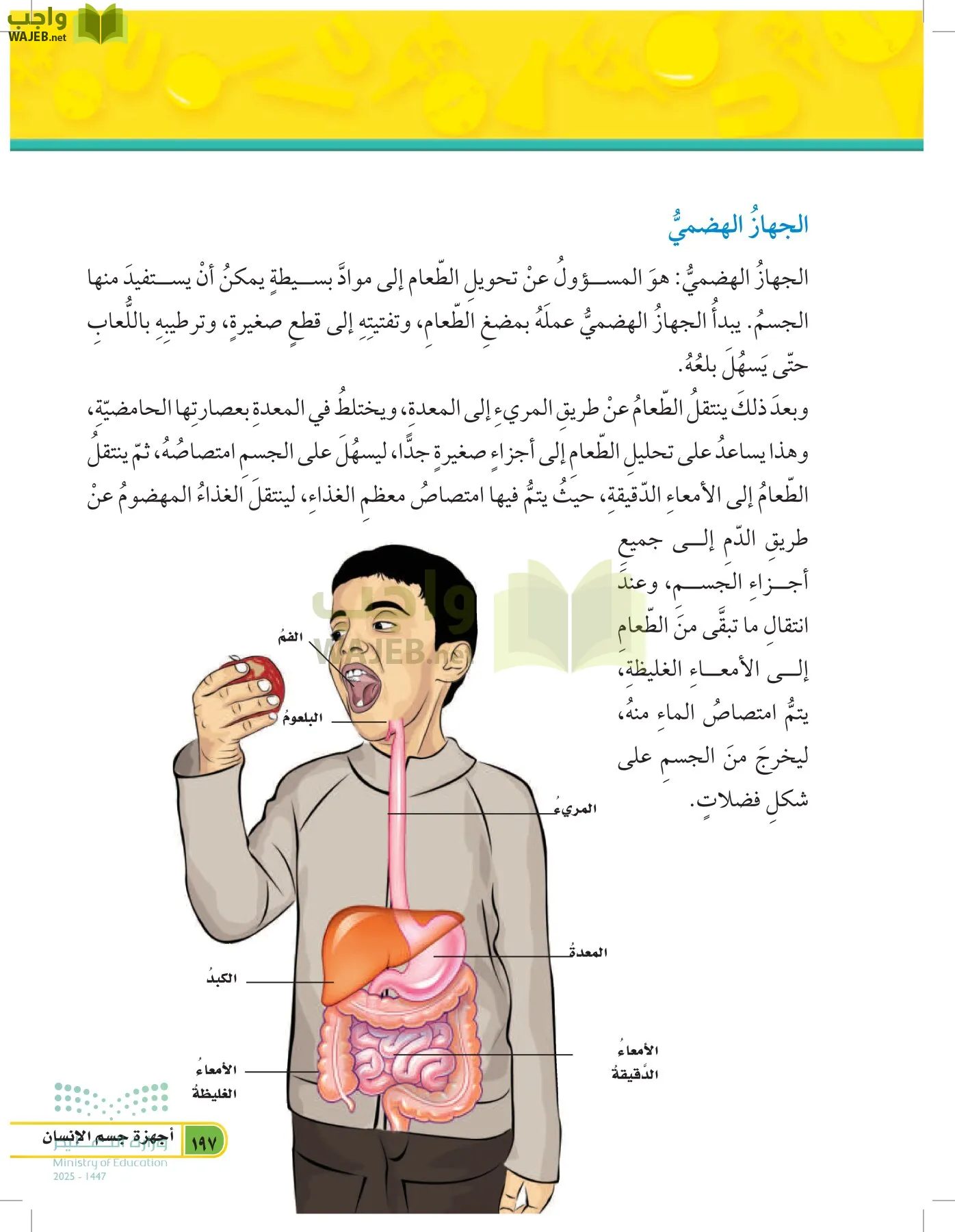 العلوم page-196