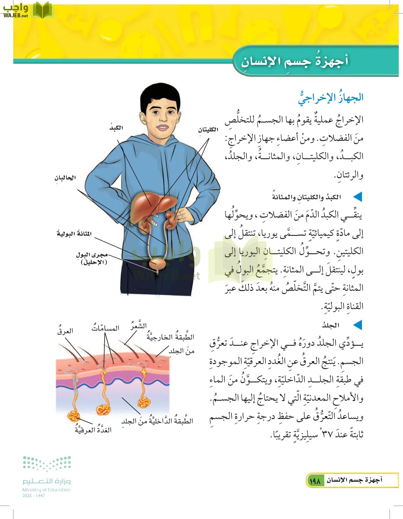 العلوم page-197