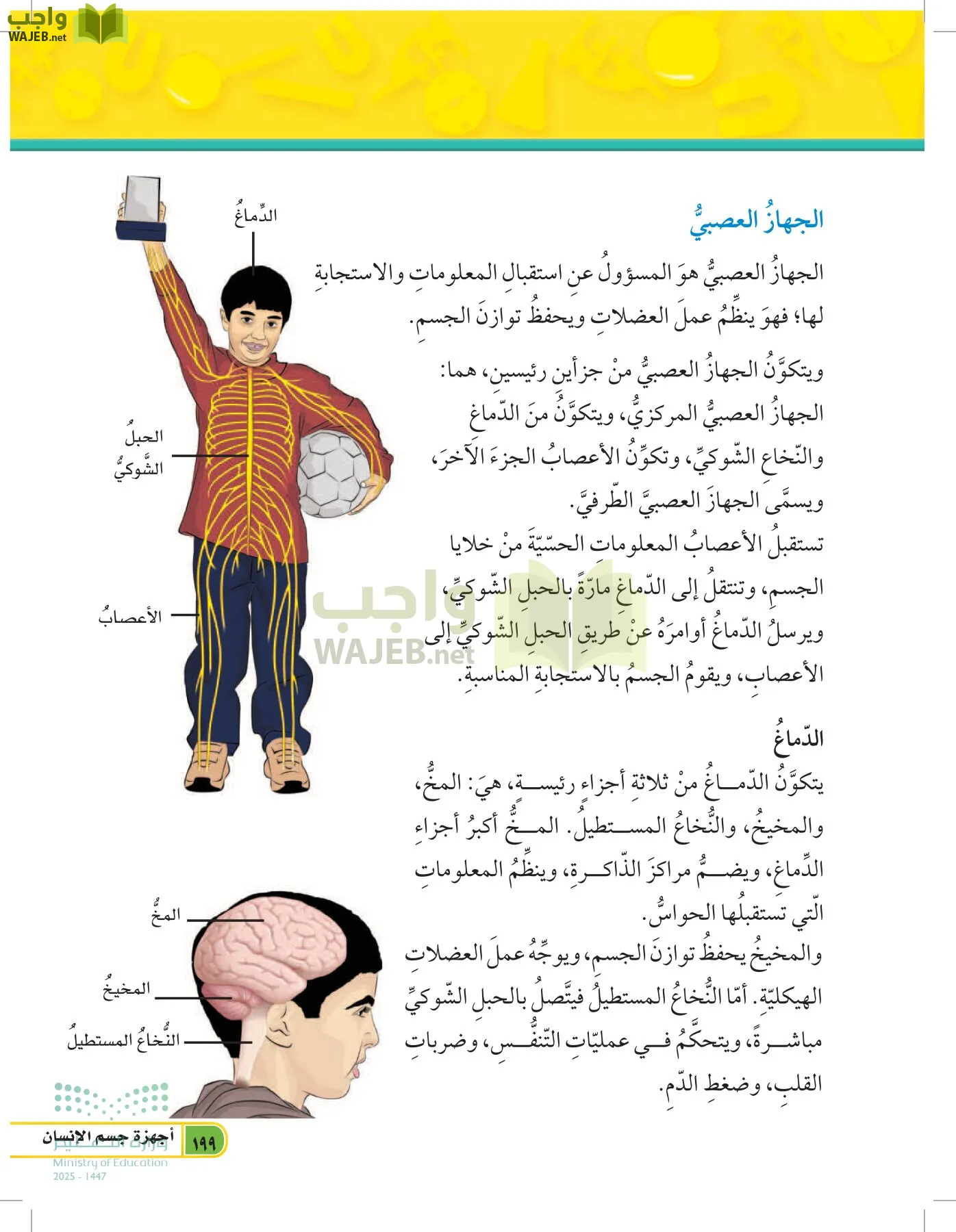 العلوم page-198