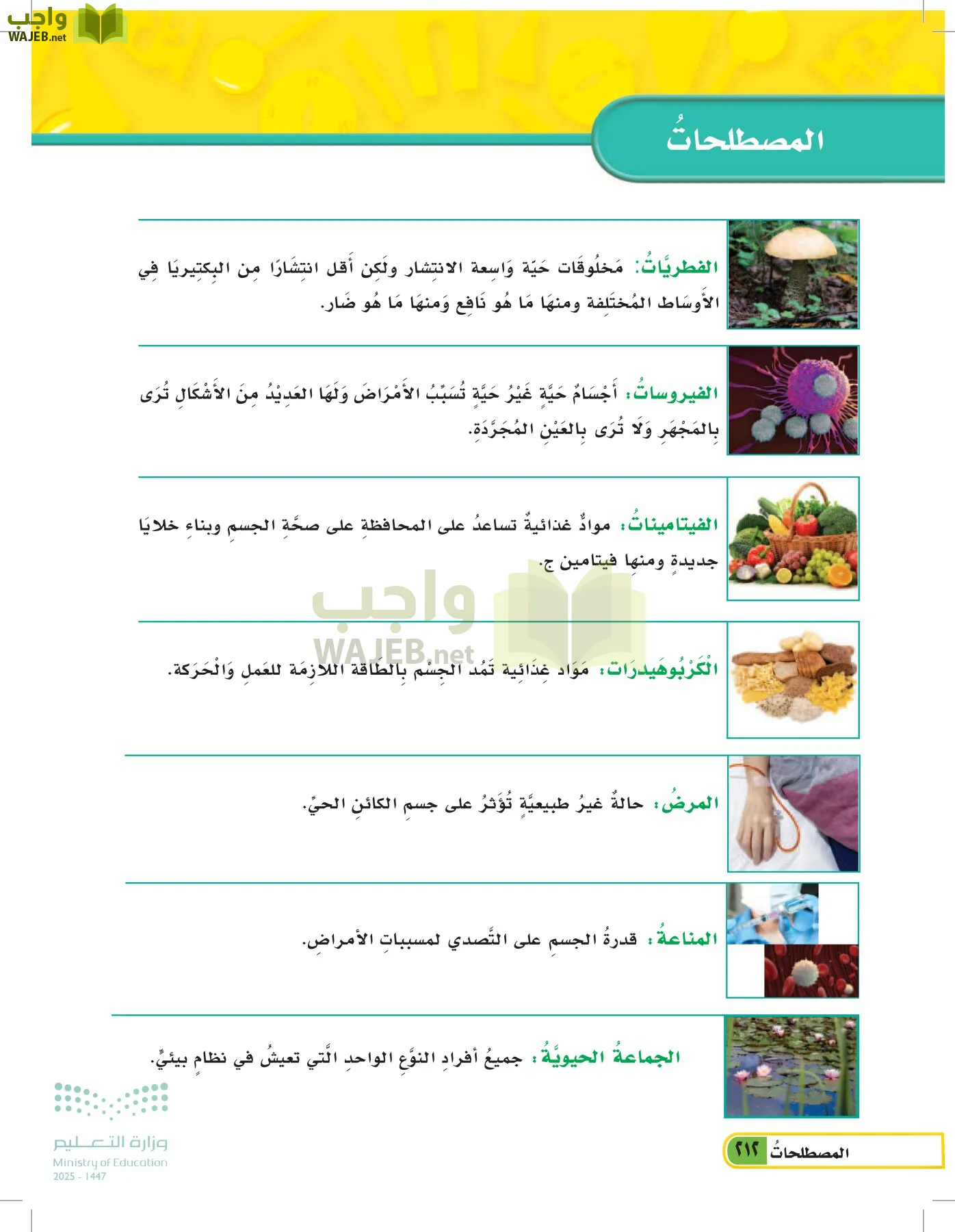 العلوم page-211