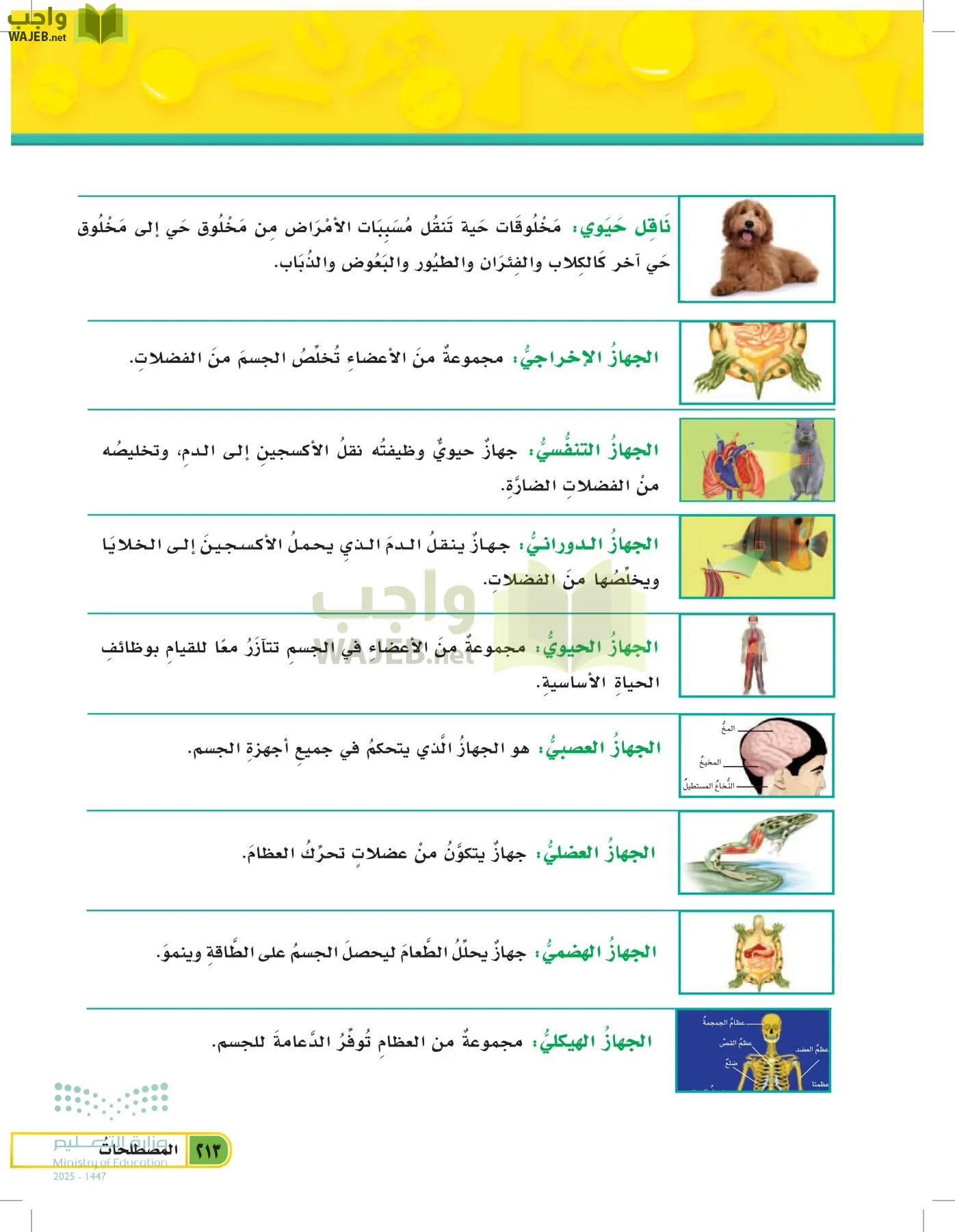 العلوم page-212