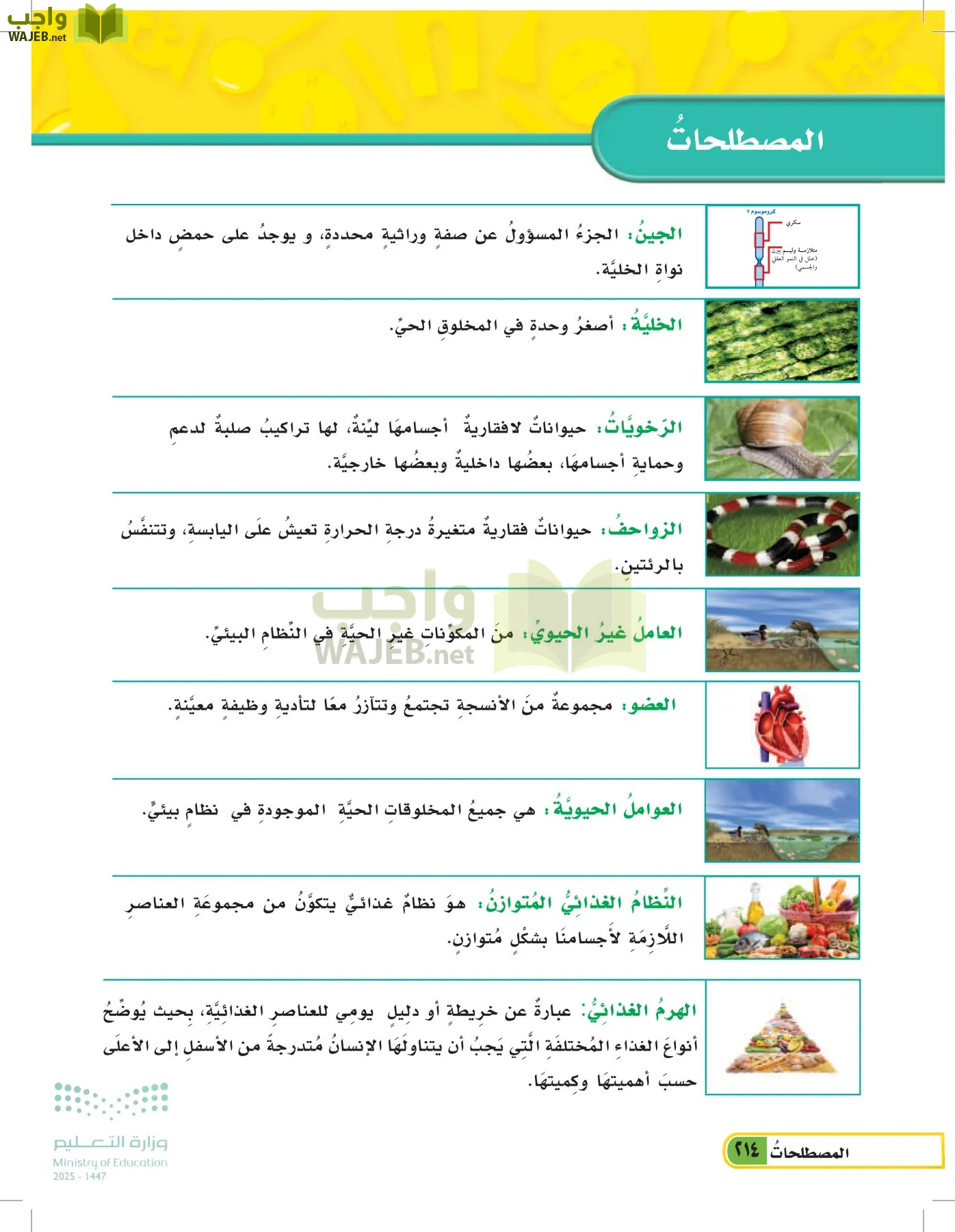 العلوم page-213