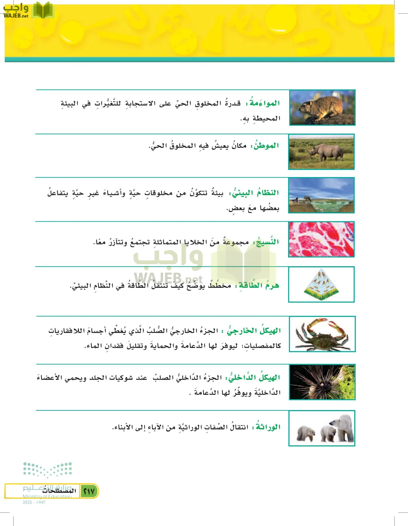 العلوم page-216