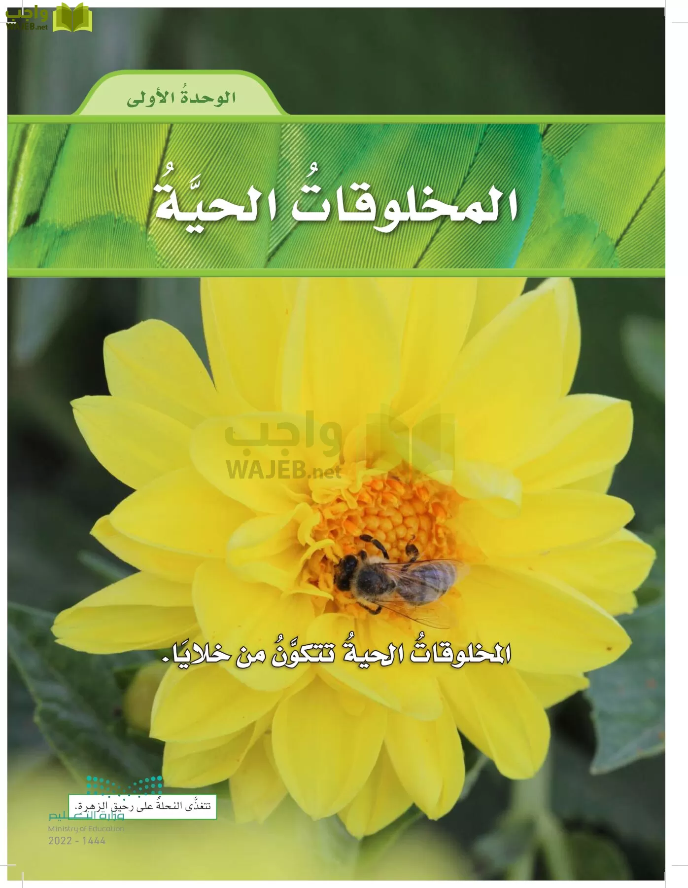 العلوم page-22