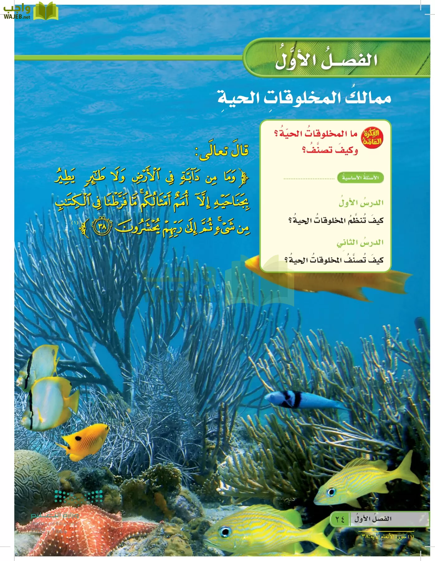 العلوم page-23