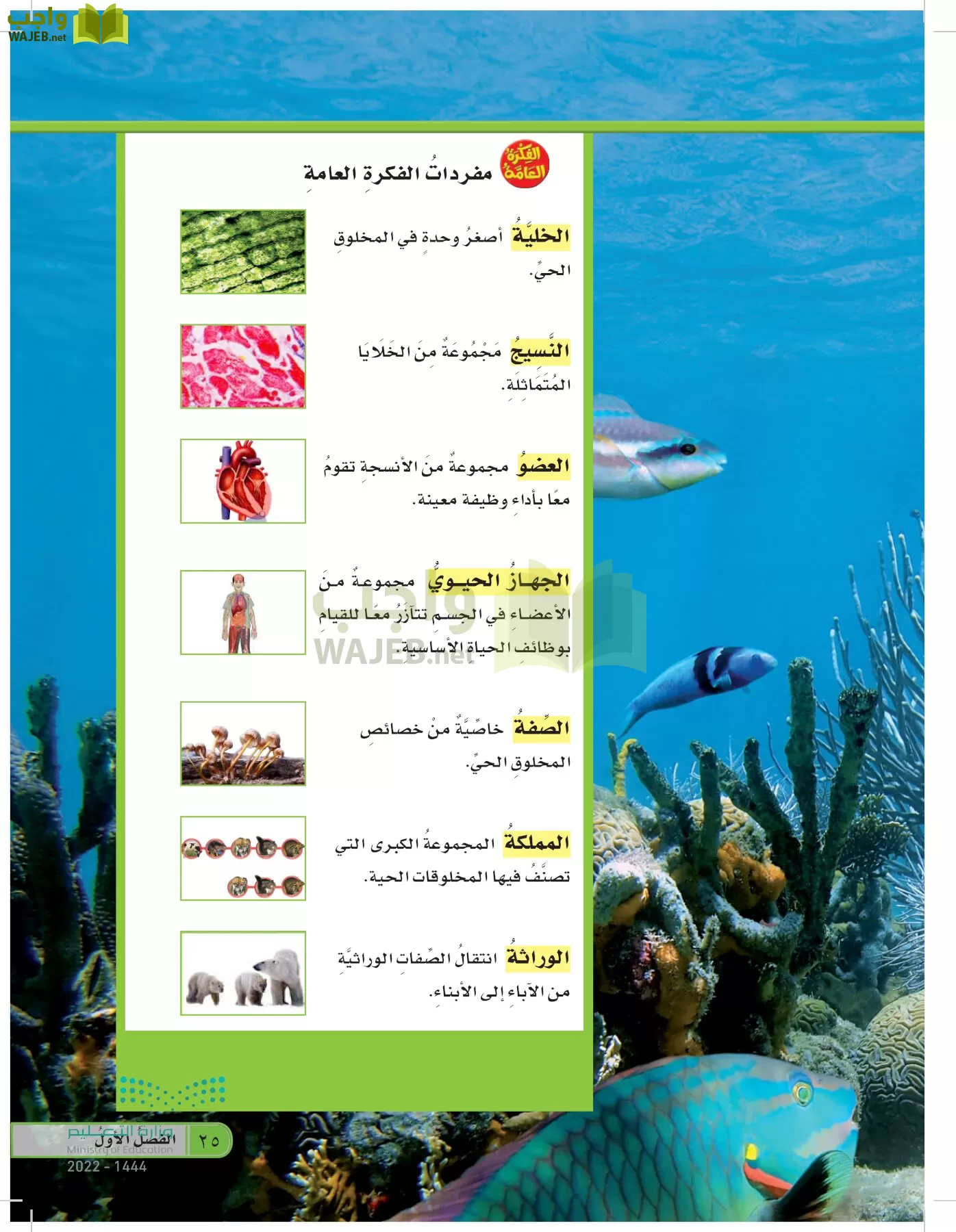 العلوم page-24