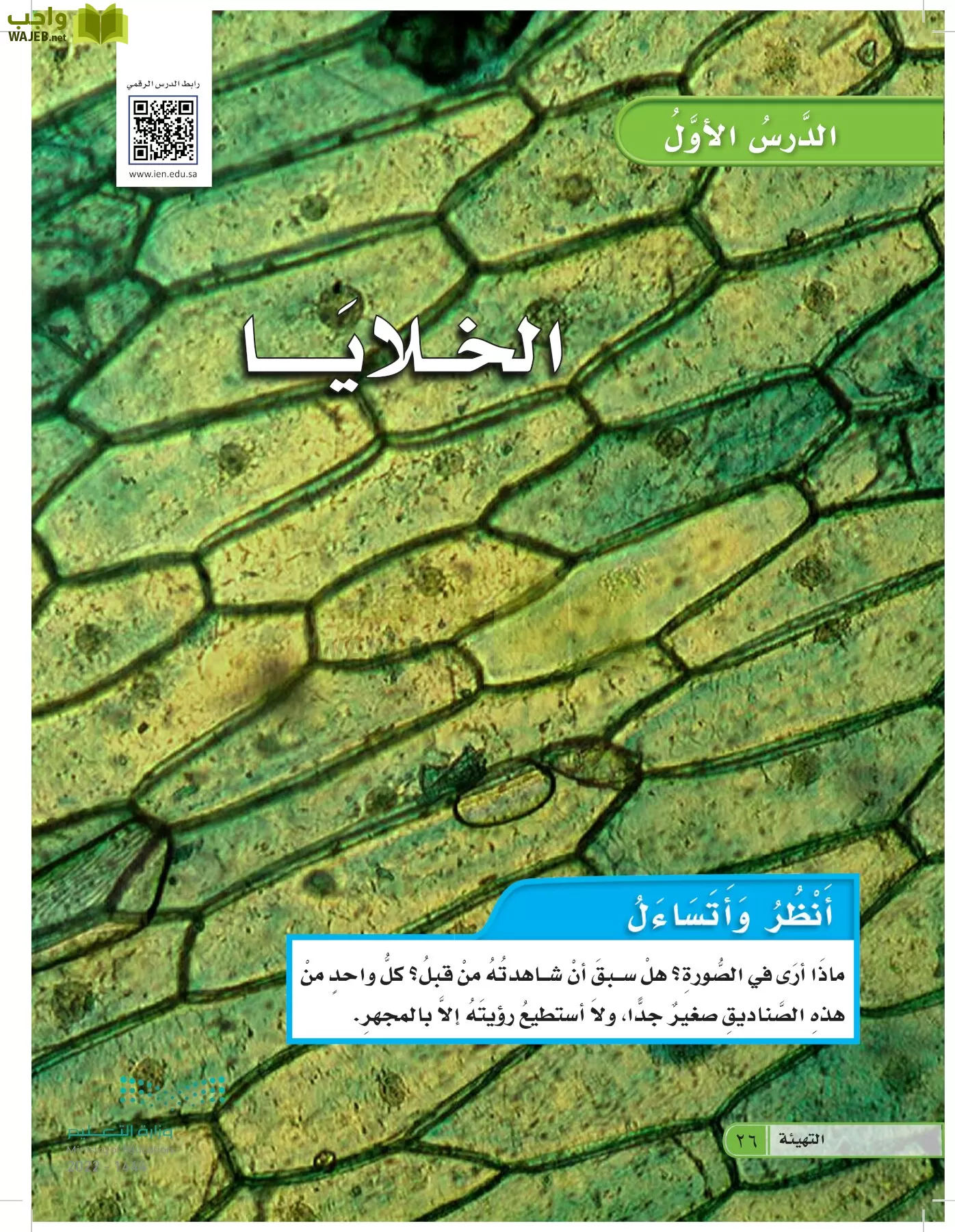 العلوم page-25
