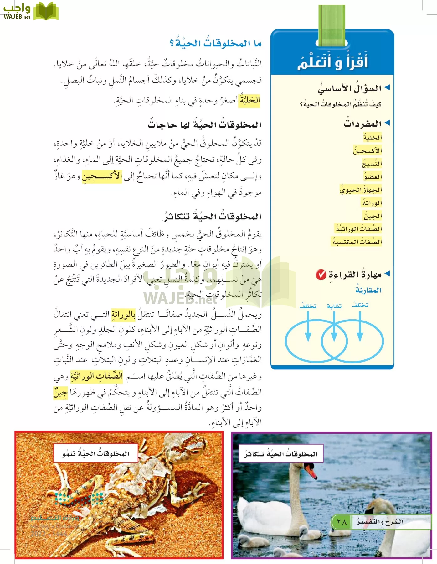 العلوم page-27