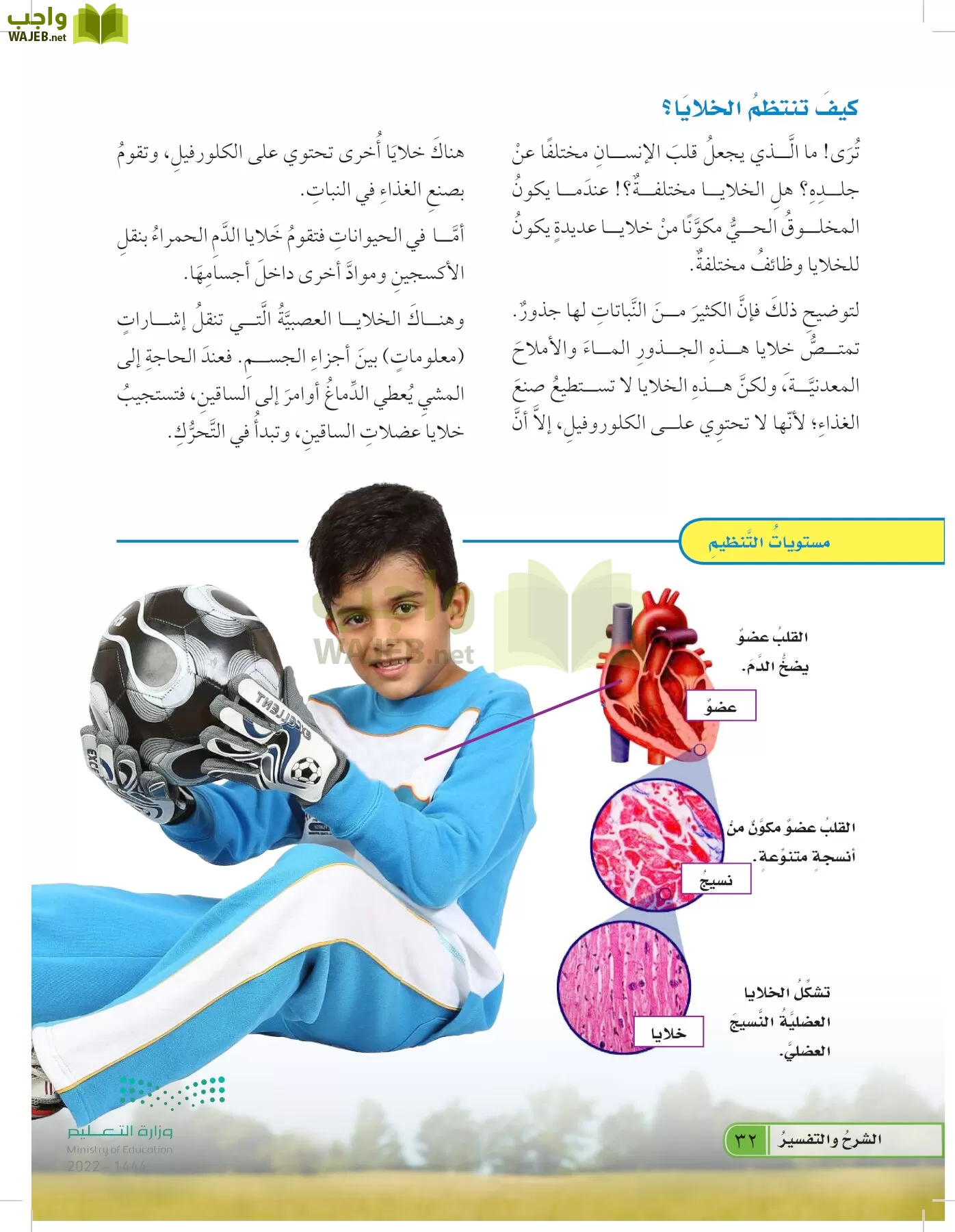 العلوم page-31