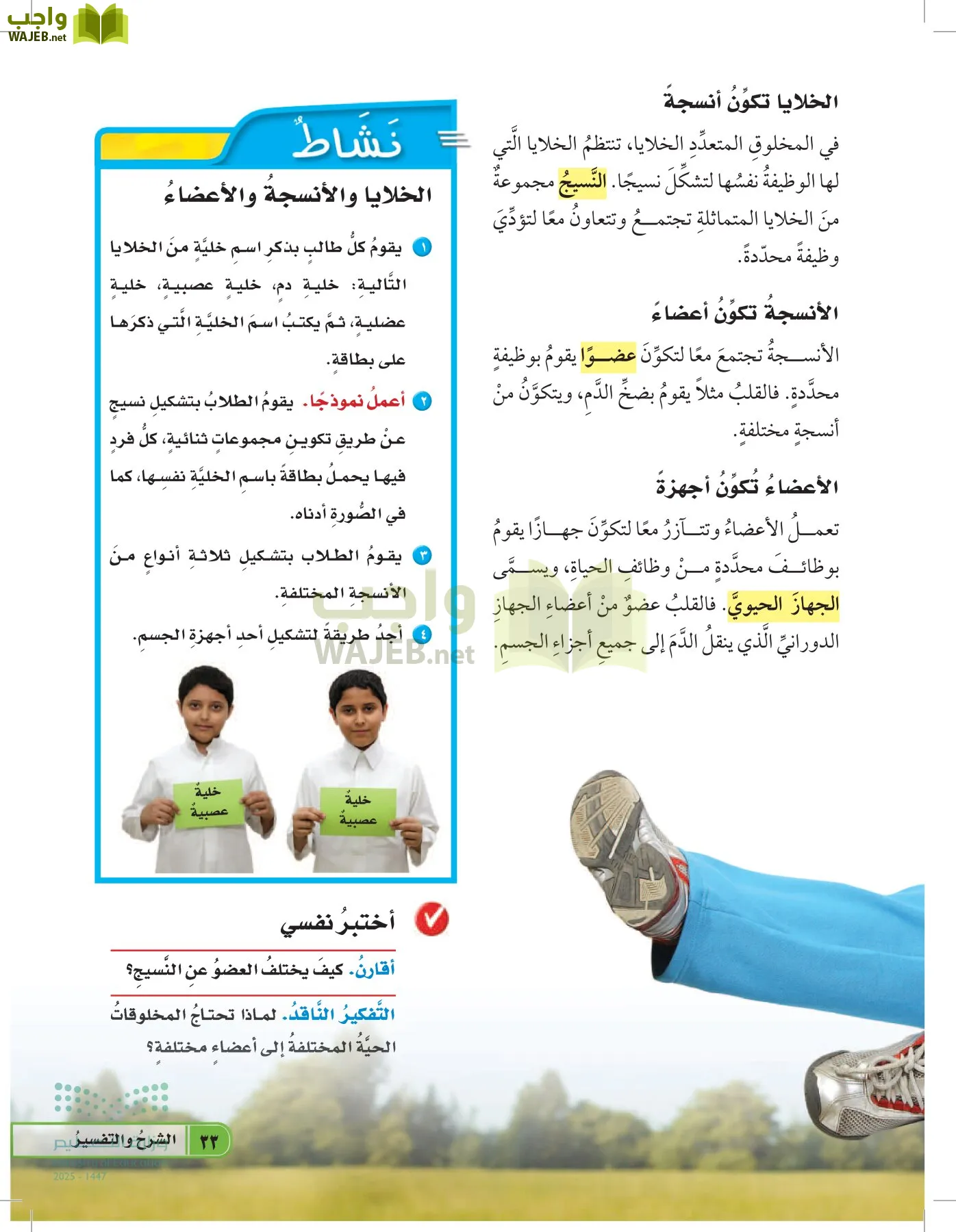 العلوم page-32