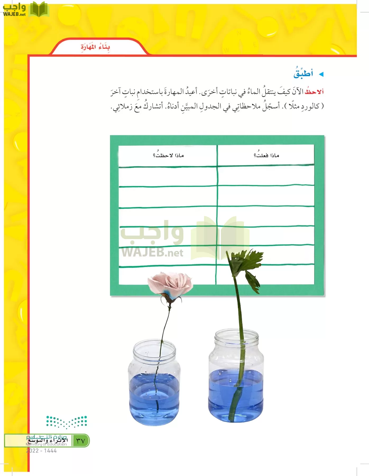 العلوم page-36