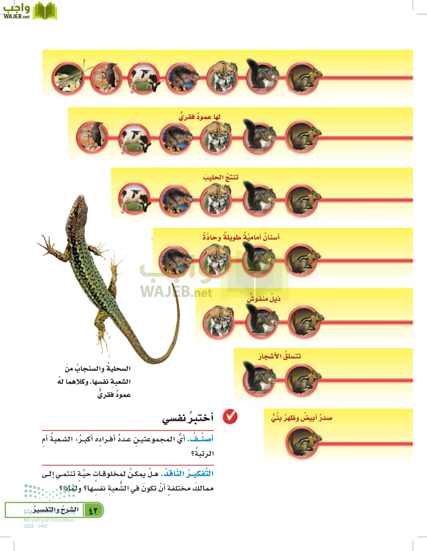 العلوم page-42