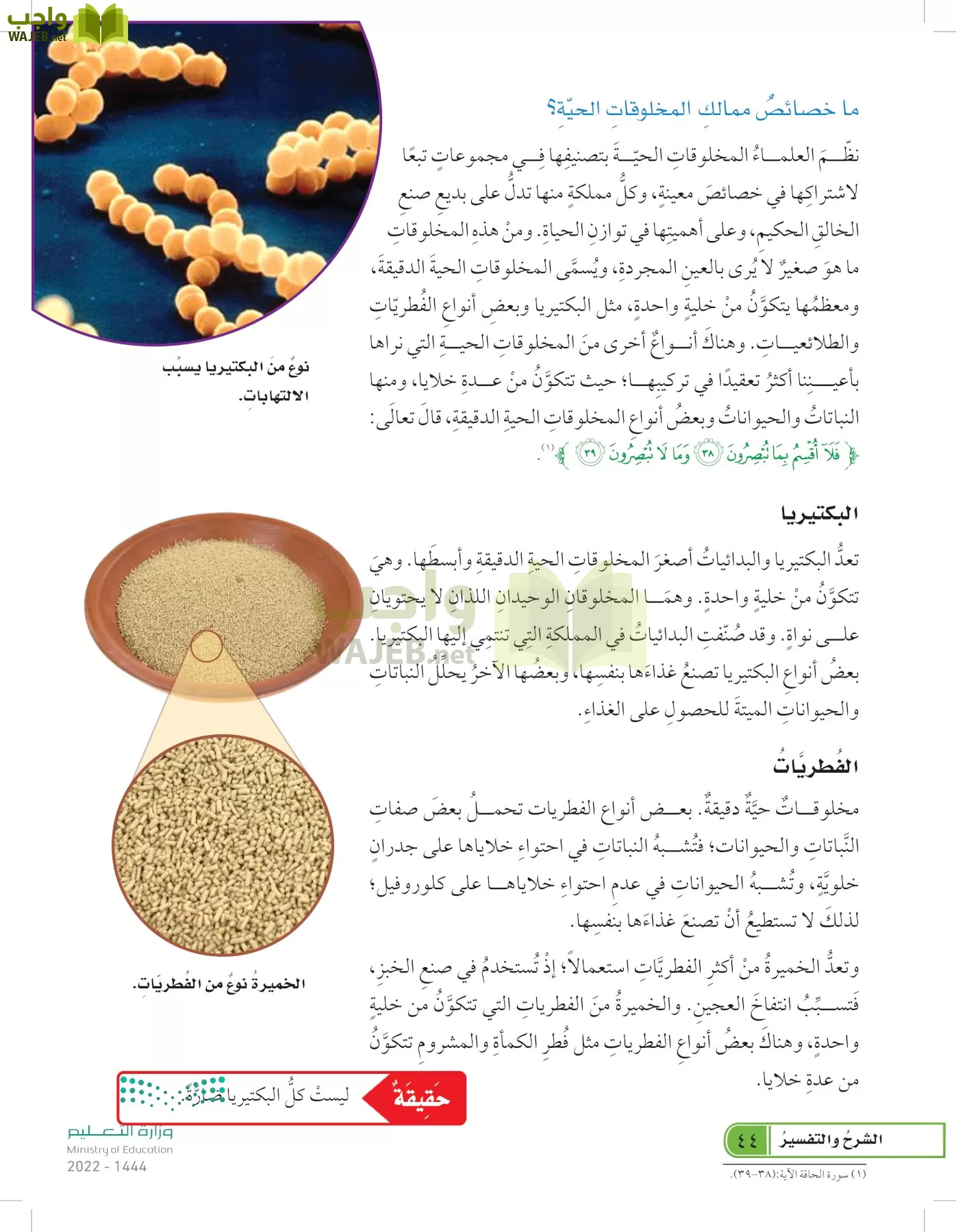 العلوم page-43