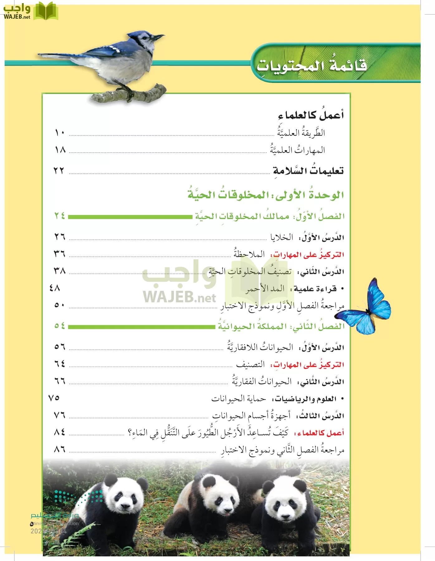 العلوم page-4