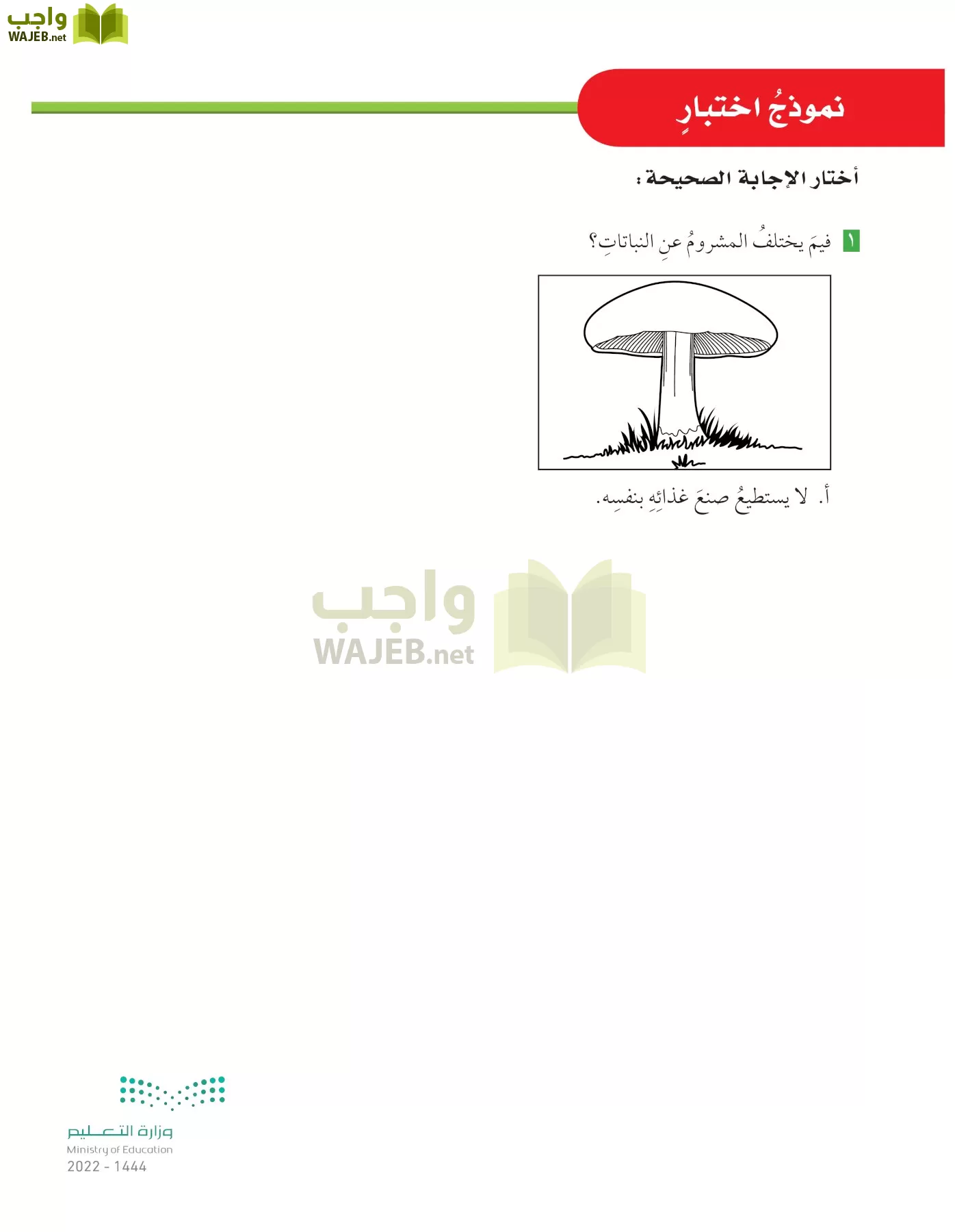 العلوم page-51