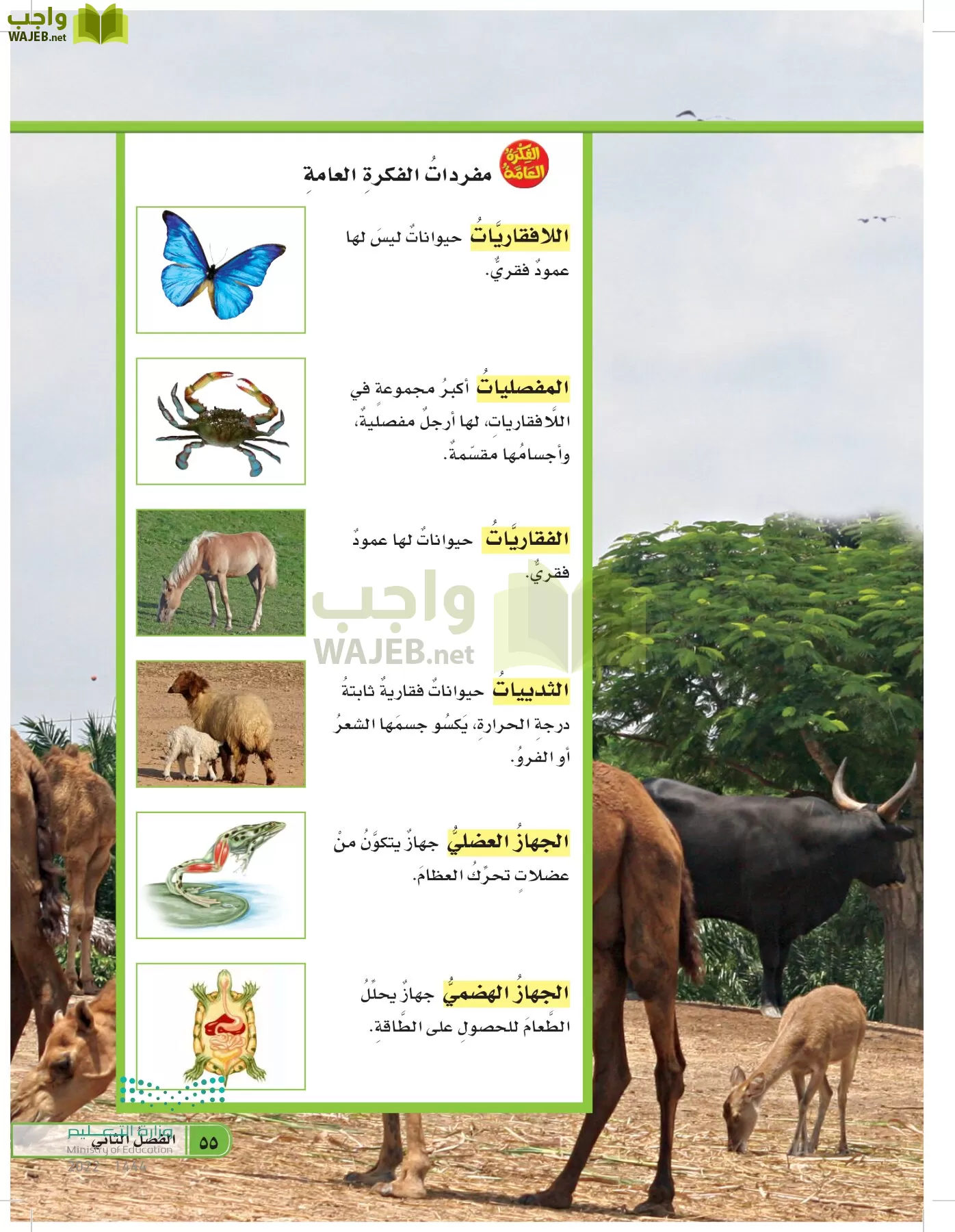 العلوم page-54