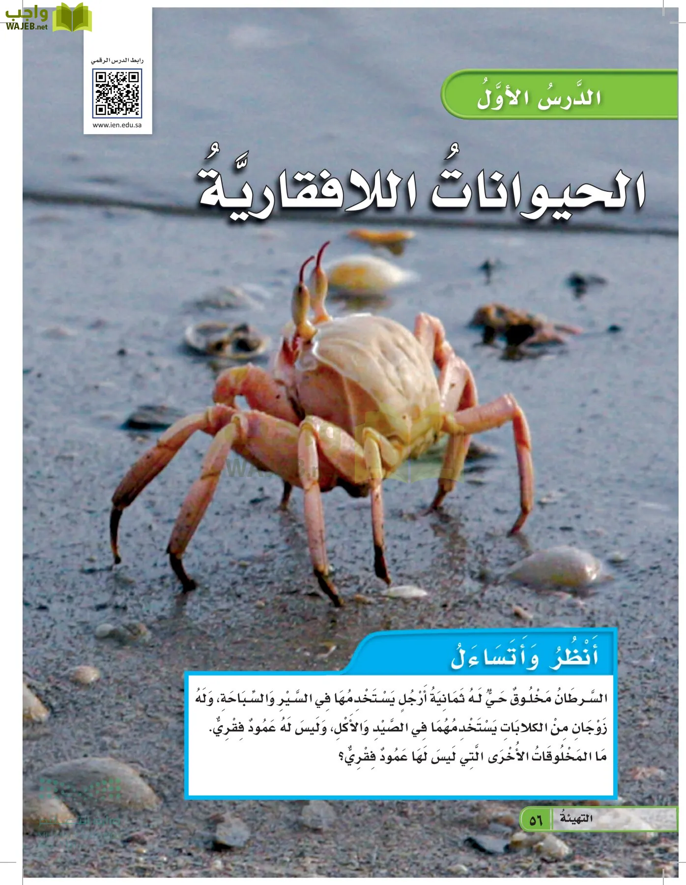 العلوم page-55