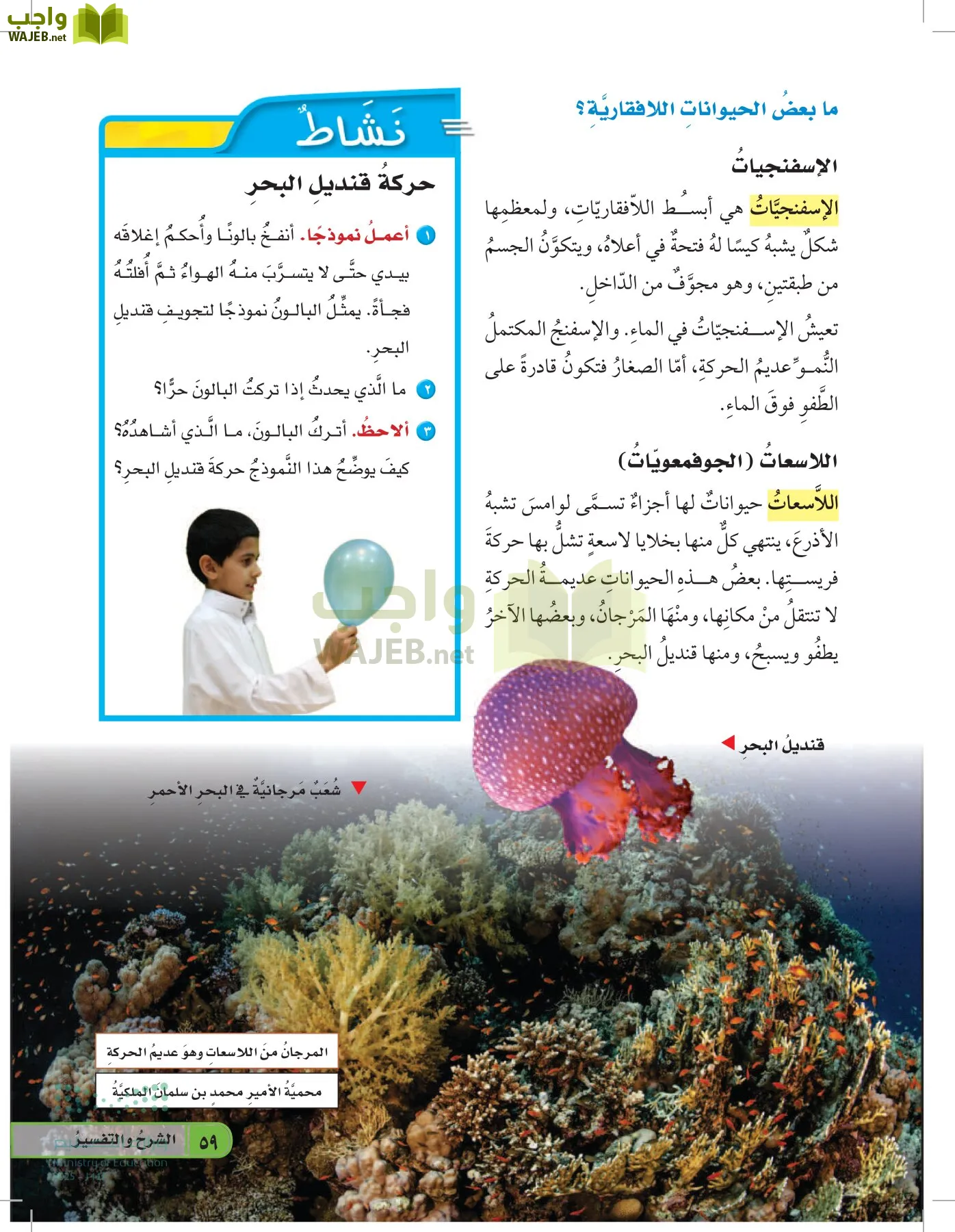 العلوم page-58