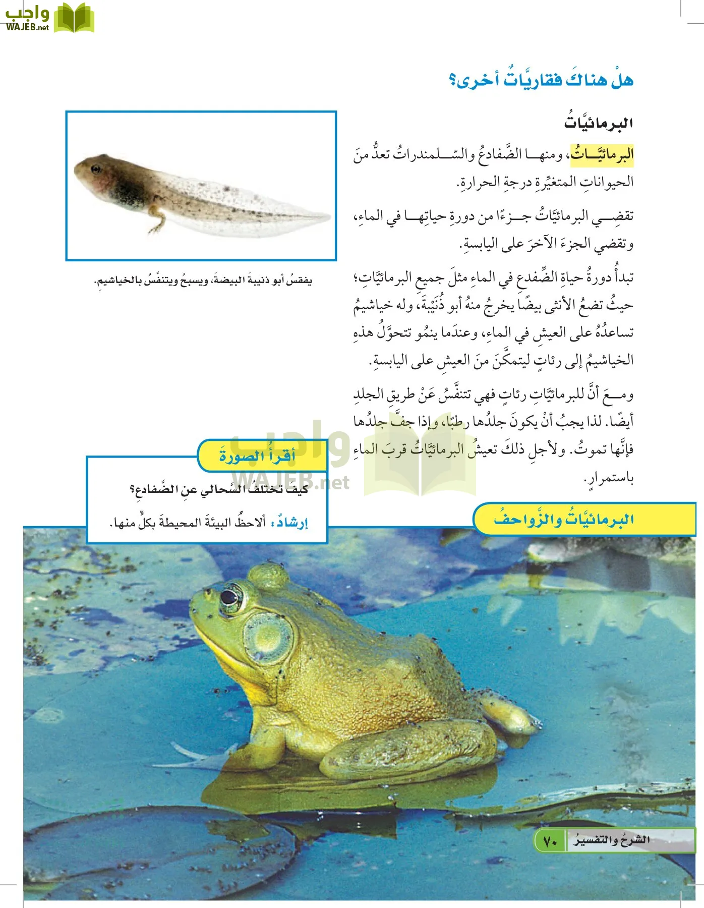 العلوم page-69